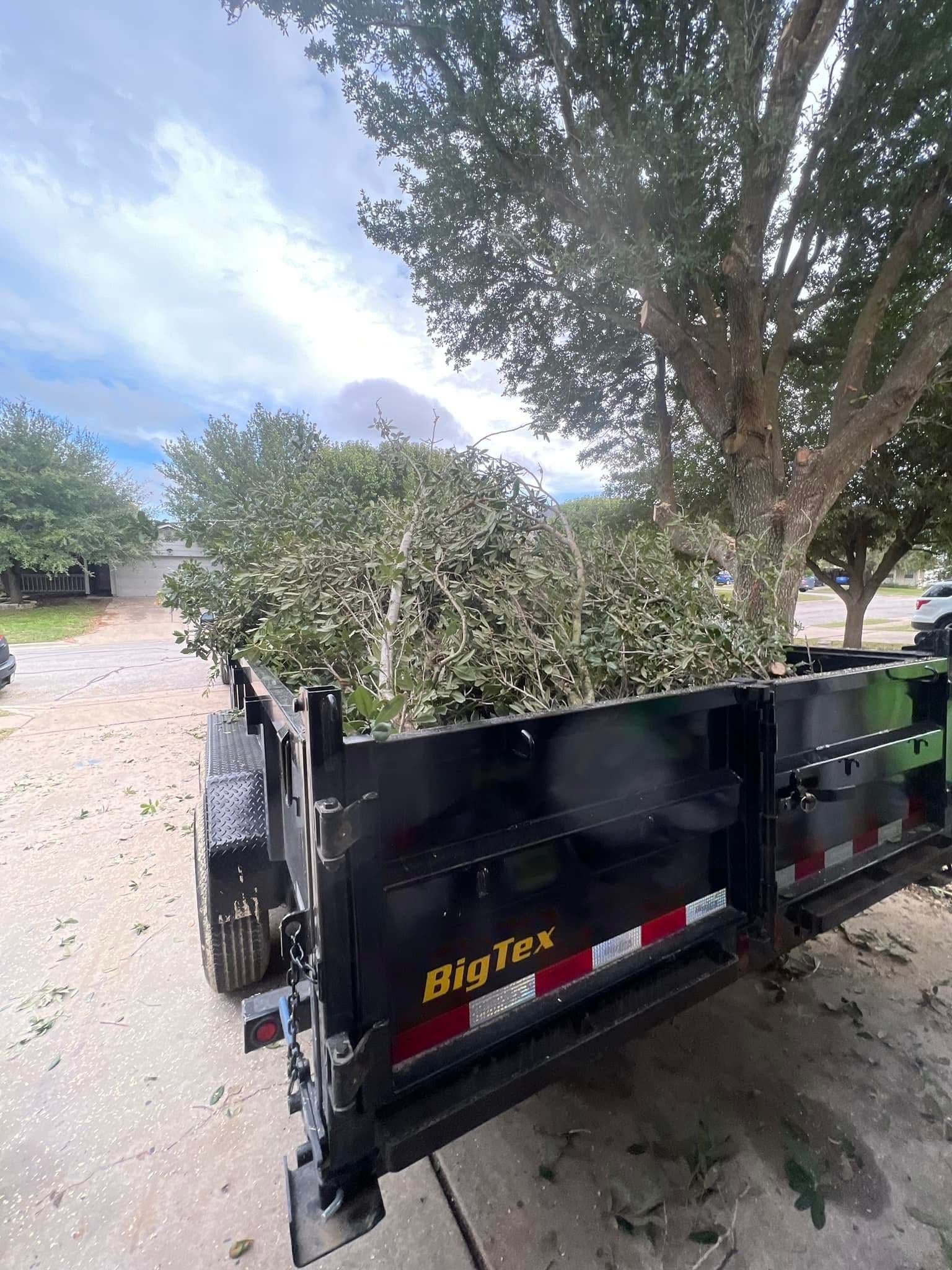 Spring Clean-Up Simplified With Tyson's Mow and More LLC