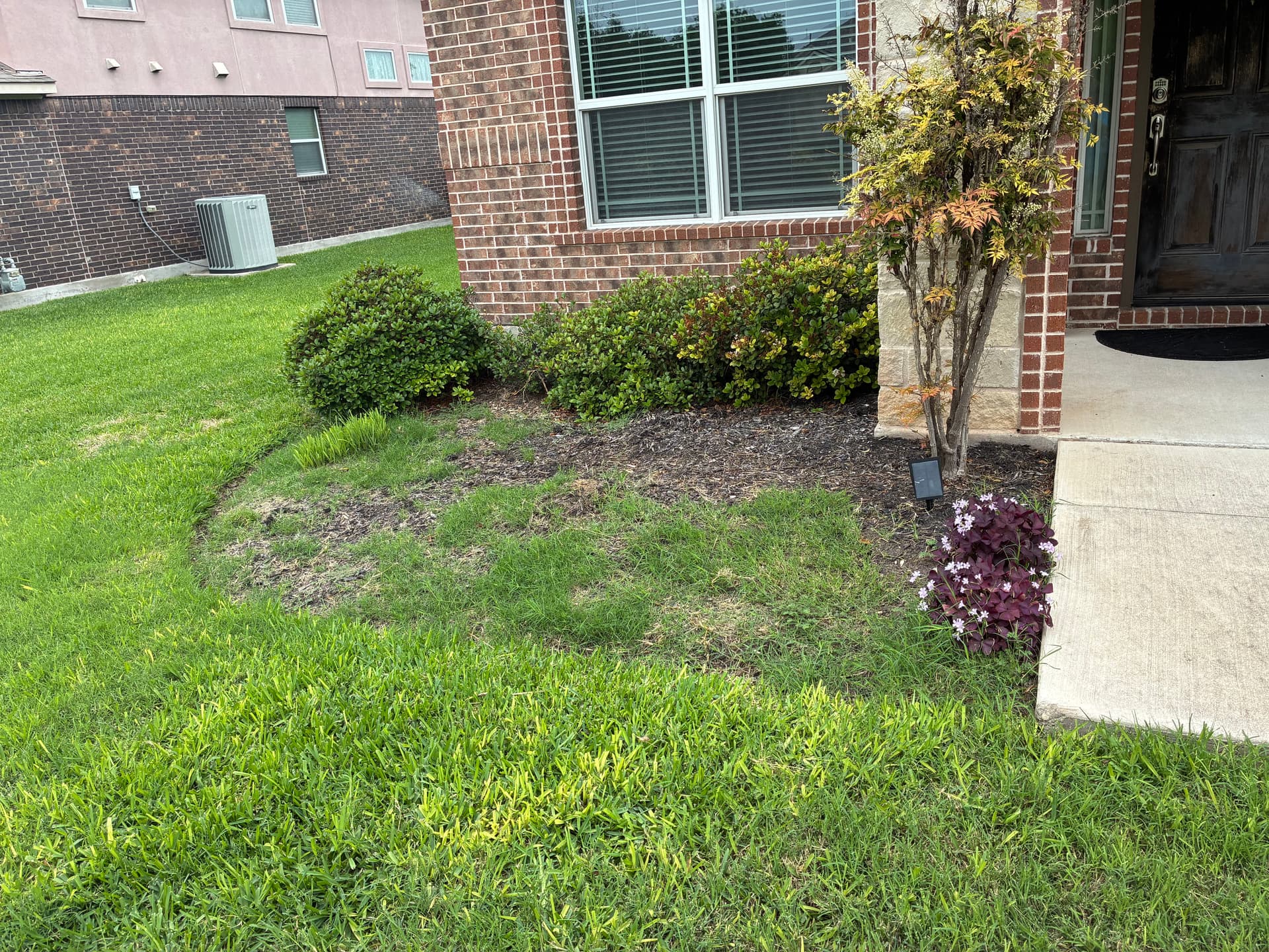 Bed Refresh, Tree Trimming, and Fallen Branch Removal Done Right image