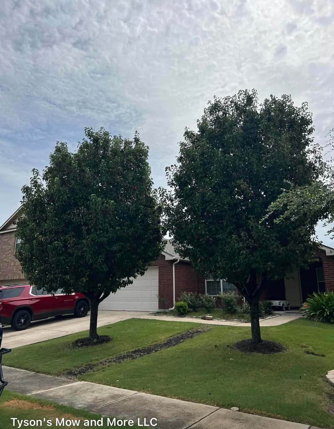 Tree Trimming That Makes a Real Difference at the Curb image