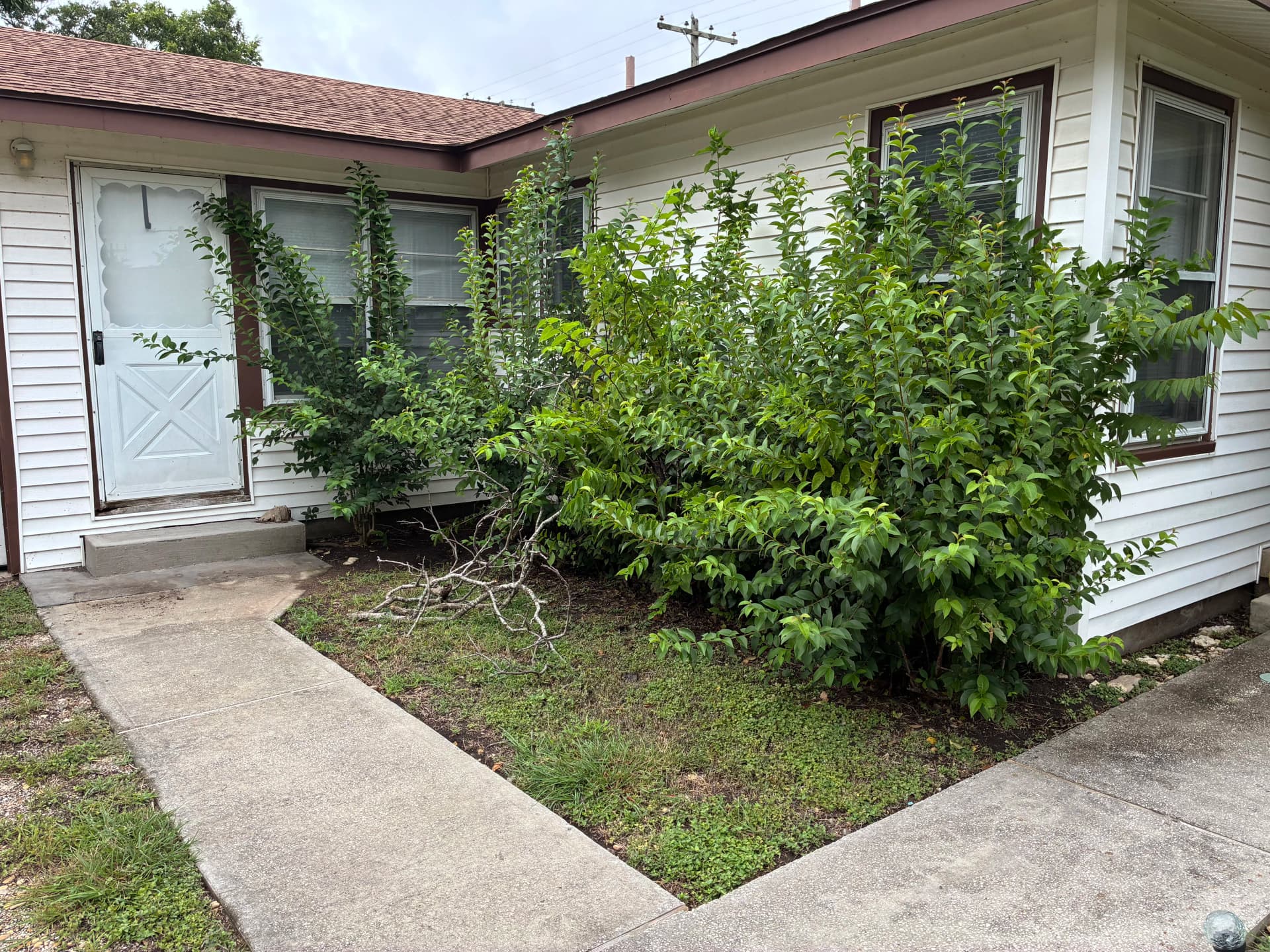 Gallery photos for Overgrown Shrubs Cut Back to Clean and Sharp: Image #2