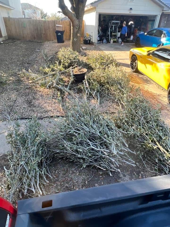 Spring Clean-Up Simplified With Tyson's Mow and More LLC