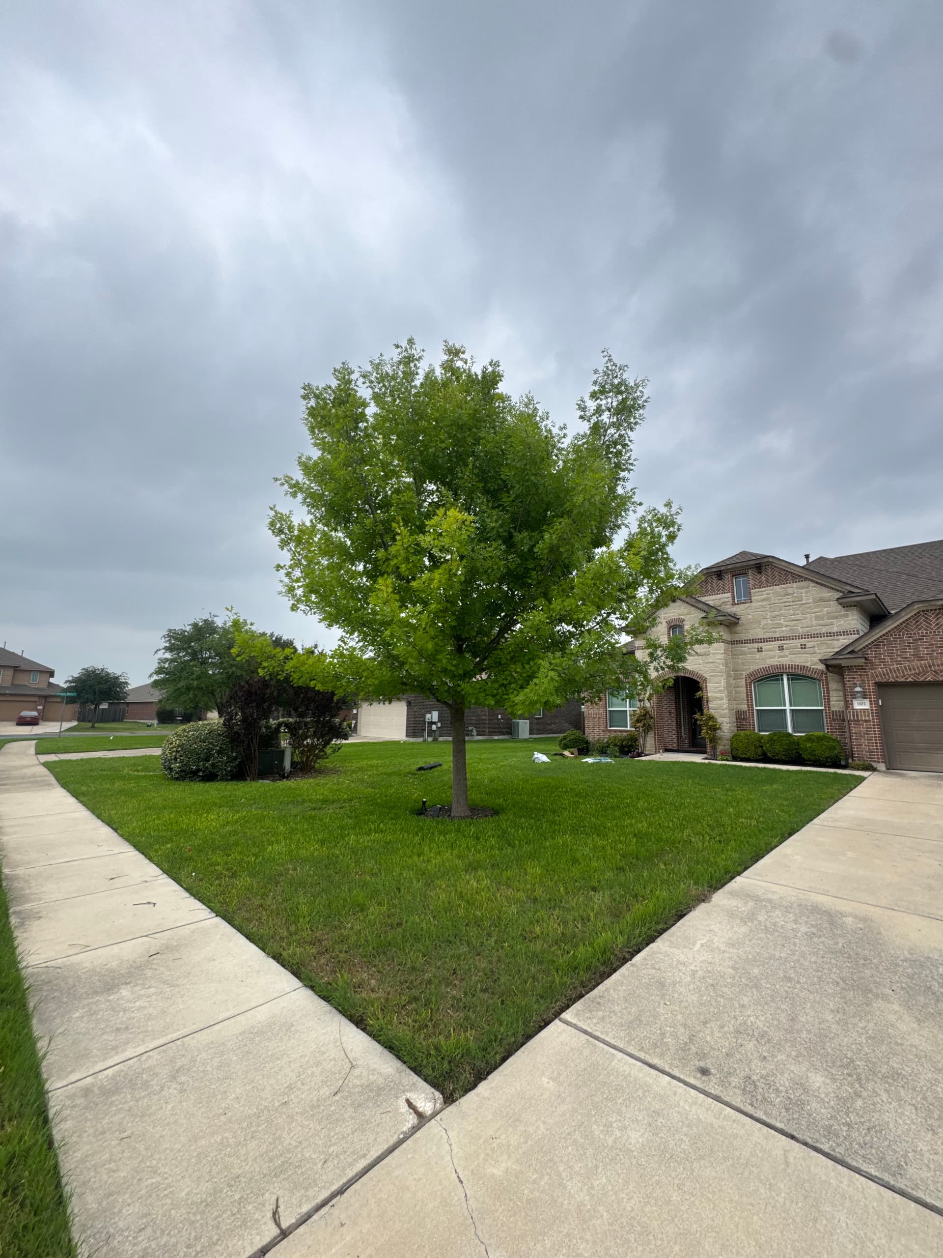 Gallery photos for Bed Refresh, Tree Trimming, and Fallen Branch Removal Done Right: Image #2