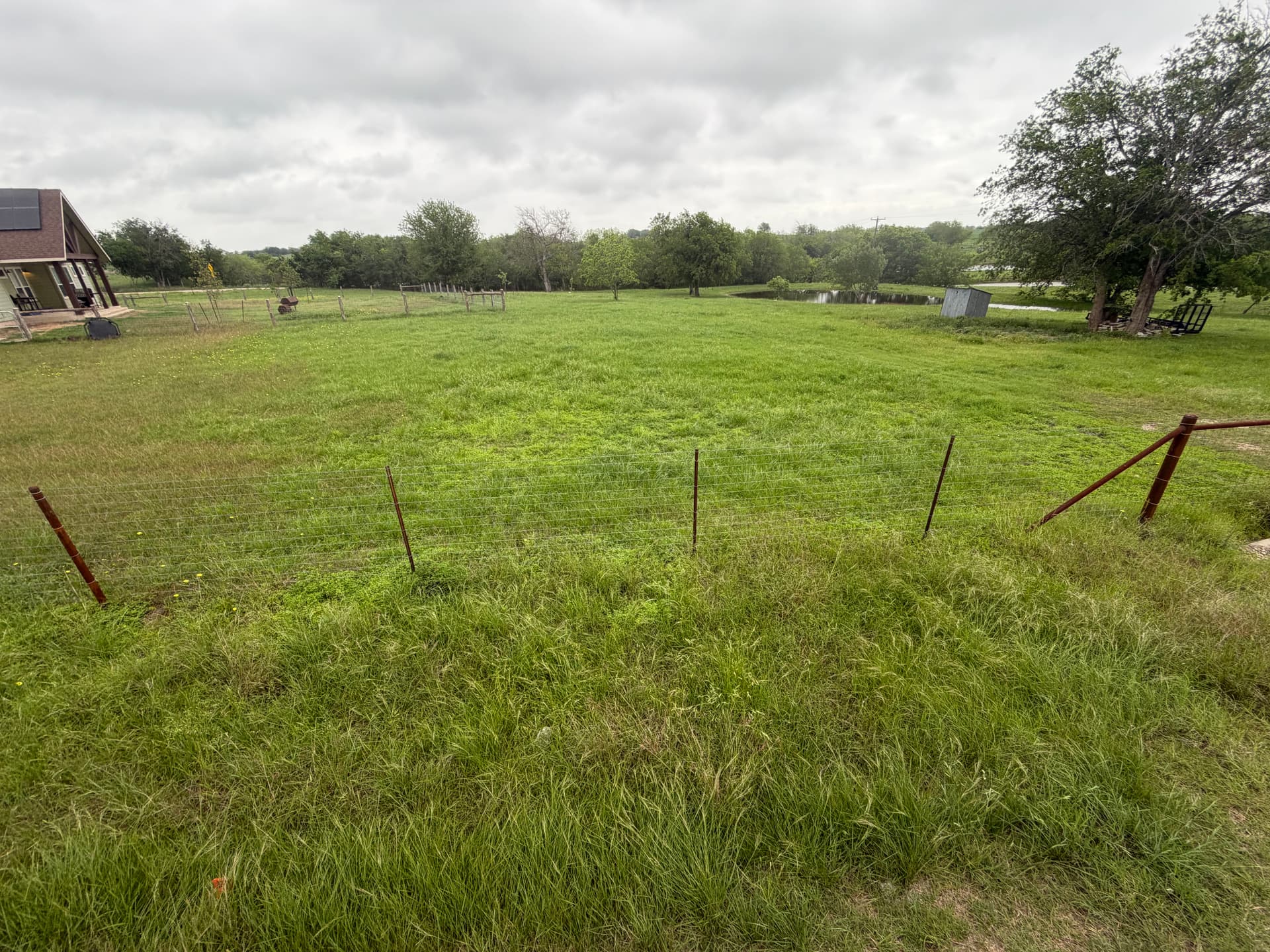 Gallery photos for Overgrown Rural Property Knocked Back Into Shape: Image #4