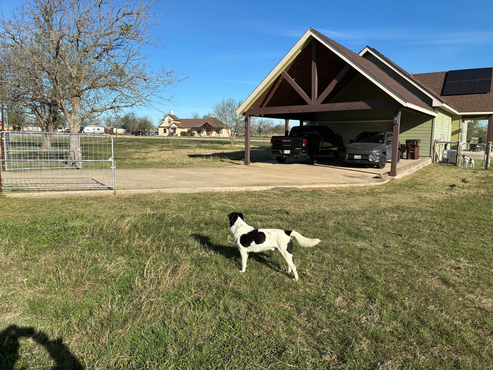 Gallery photos for Sand Dirt Mix Grading and Foundation Prep for Buffalo Grass Seed: Image #3