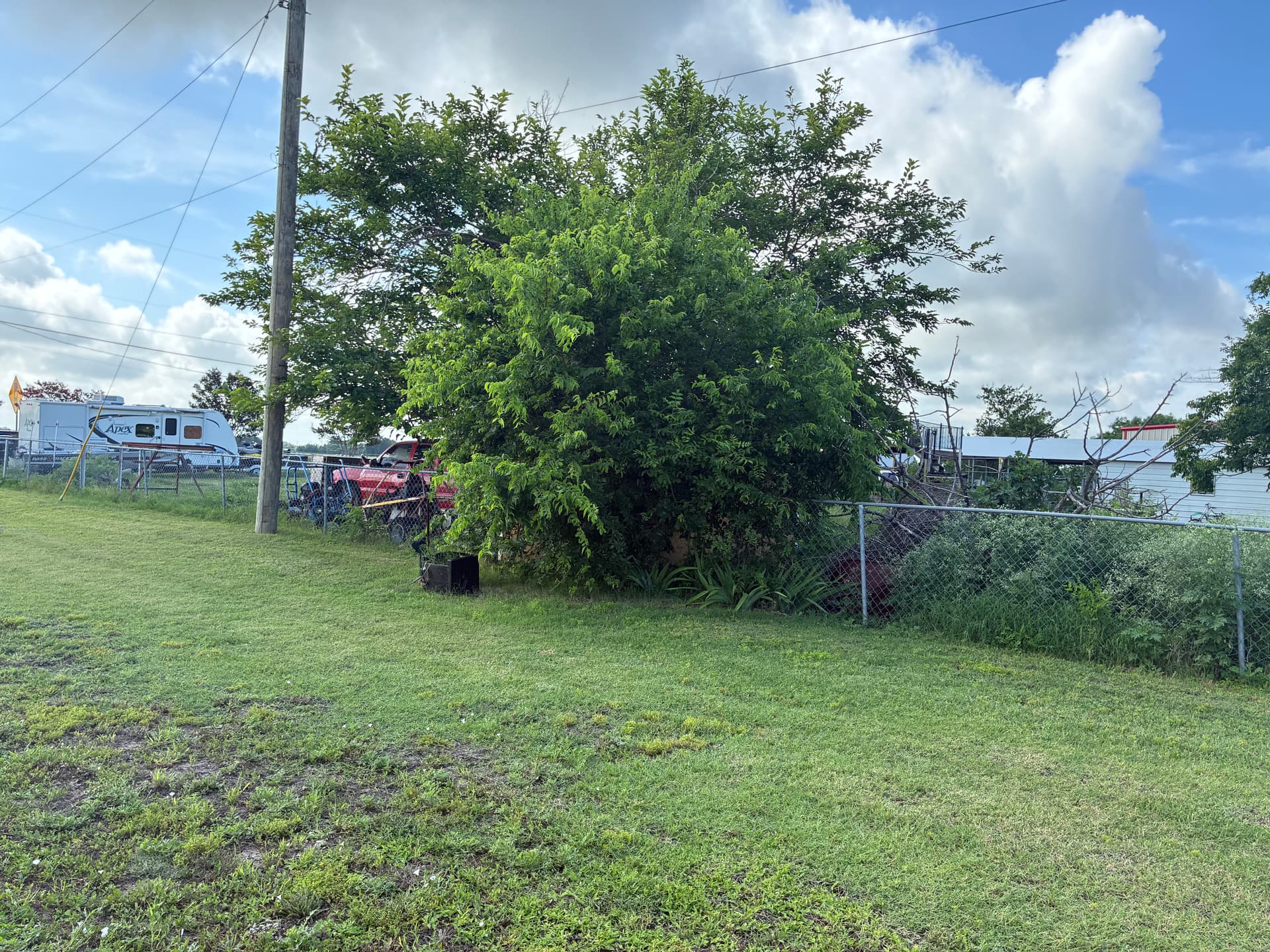 Gallery photos for Tree Trimming, Weed Removal, and Fresh Mulch Beds Done Right: Image #3