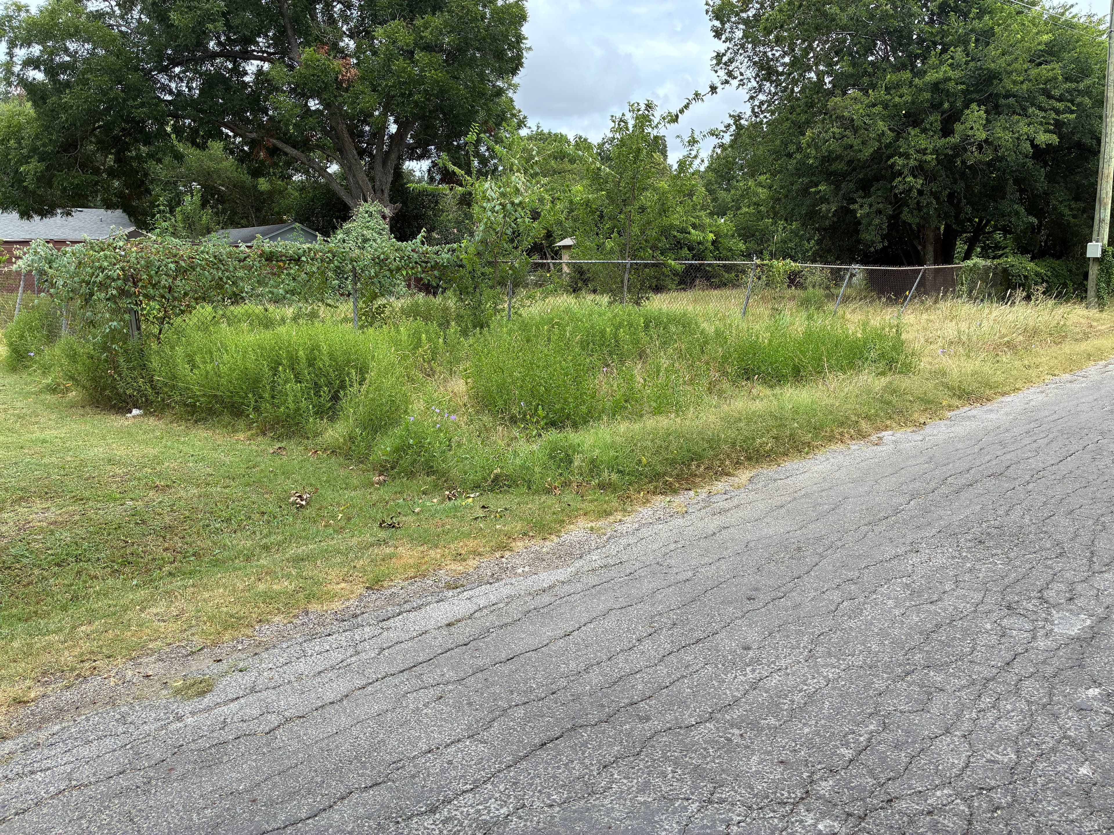 Project Overgrown Lot Mowed Down and Cleaned Up image