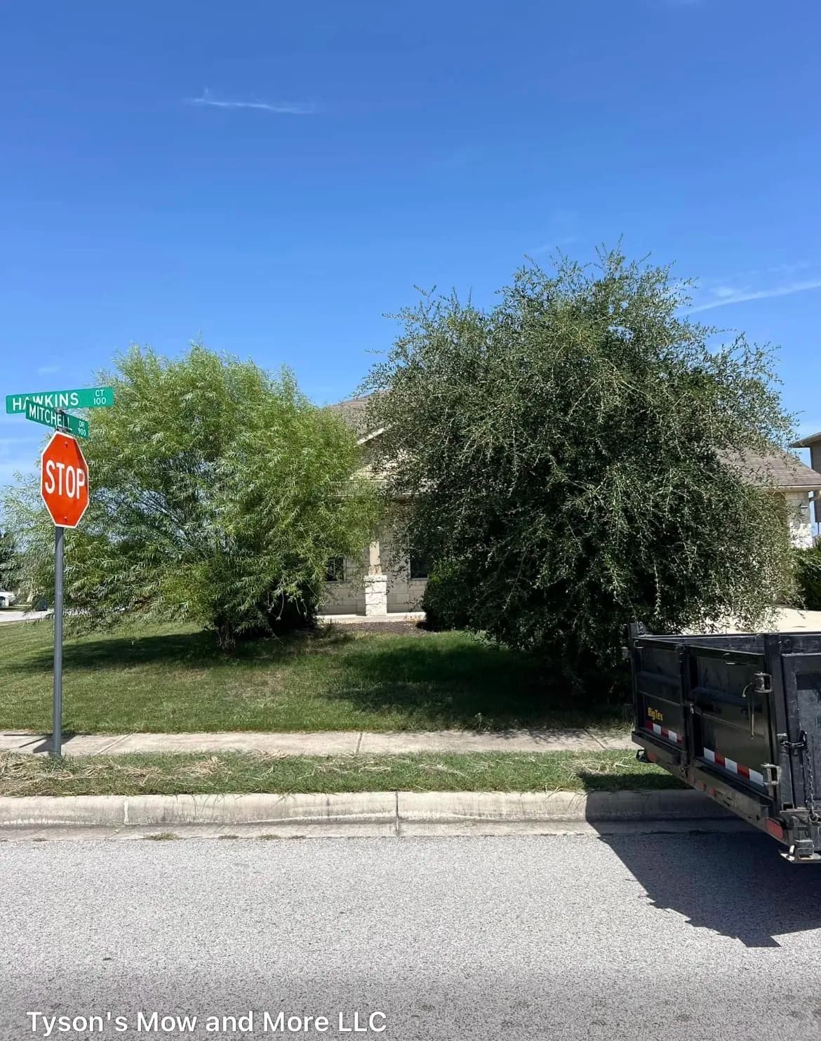 Gallery photos for Tree Trimming That Makes a Real Difference at the Curb: Image #2