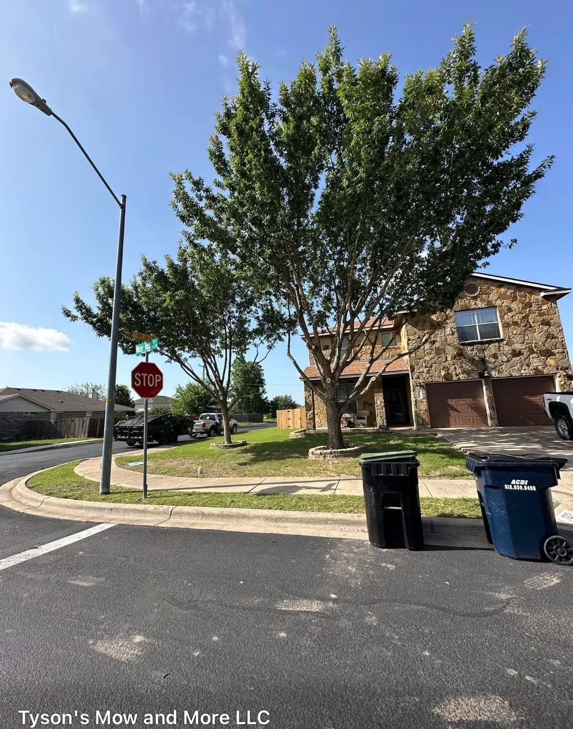 Gallery photos for Tree Trimming That Makes a Real Difference at the Curb: Image #5