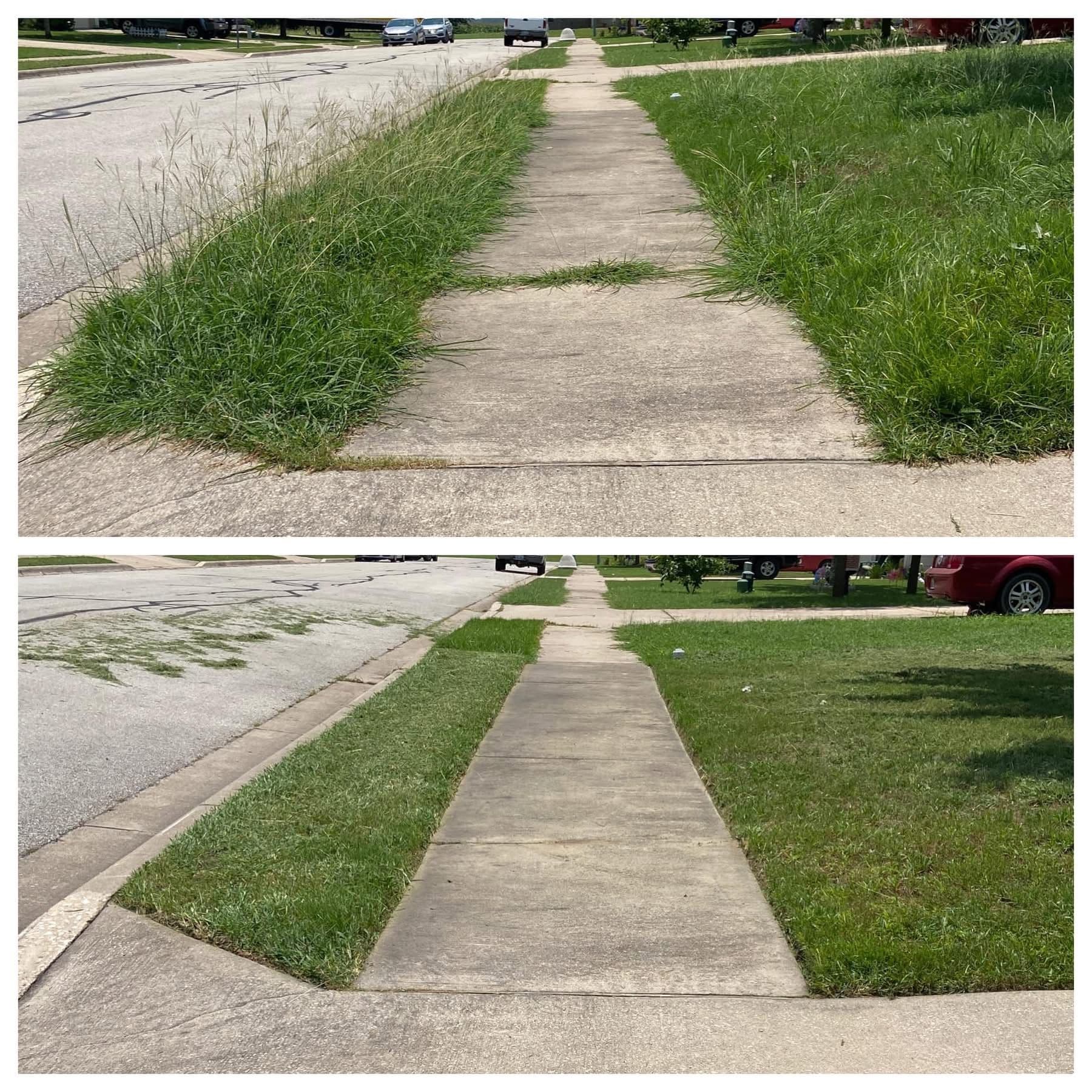 Lawn Care Magic Achieved by Tyson's Mow and More