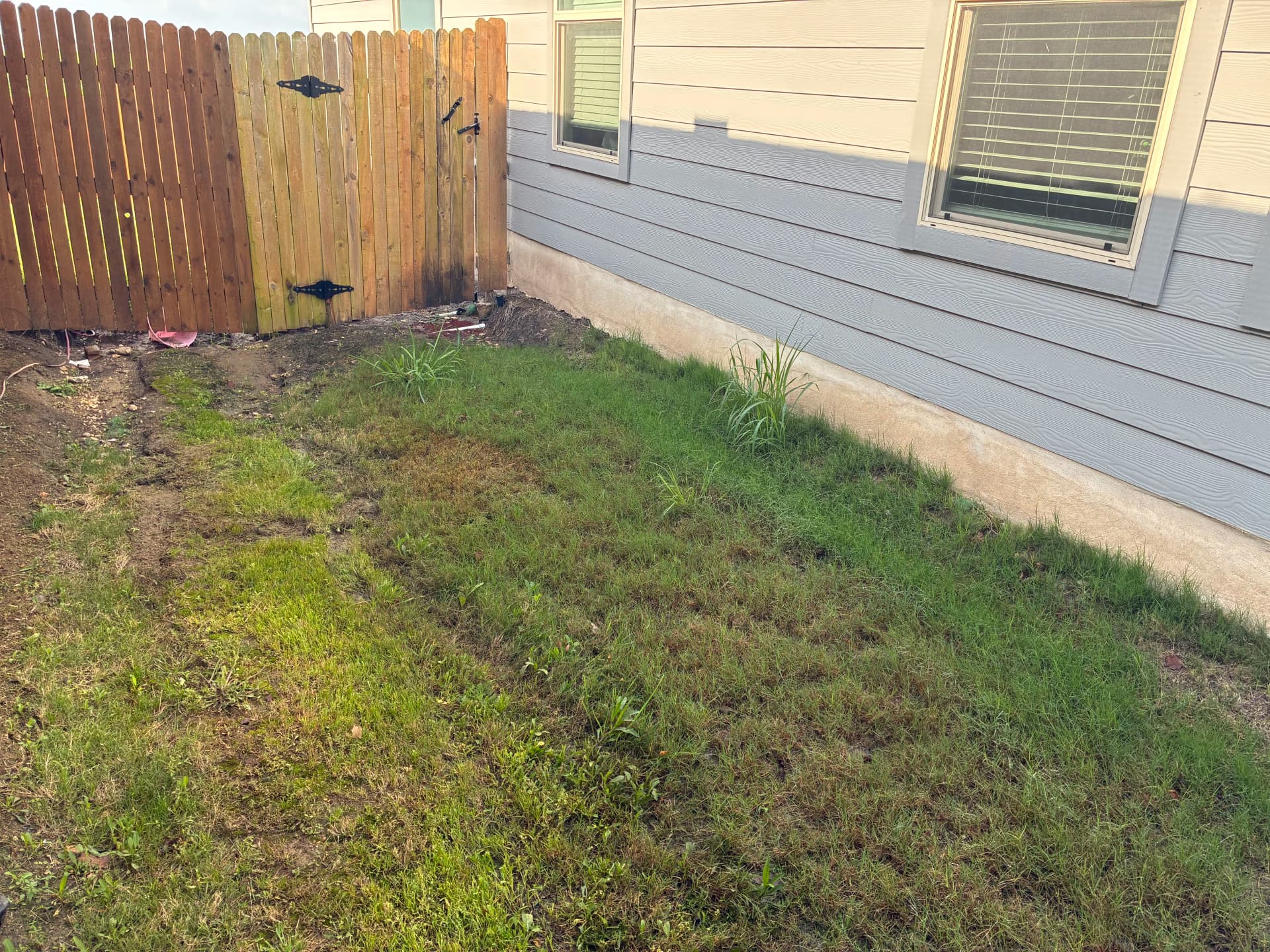Dry Creek Drainage Fix for a Soggy Side Yard image