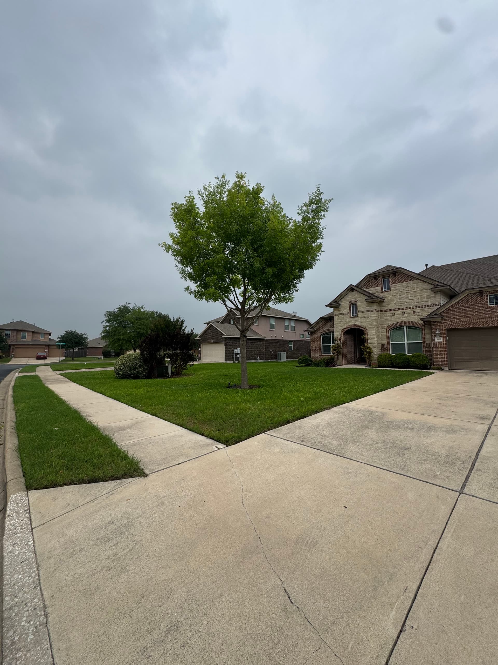 Gallery photos for Bed Refresh, Tree Trimming, and Fallen Branch Removal Done Right: Image #3