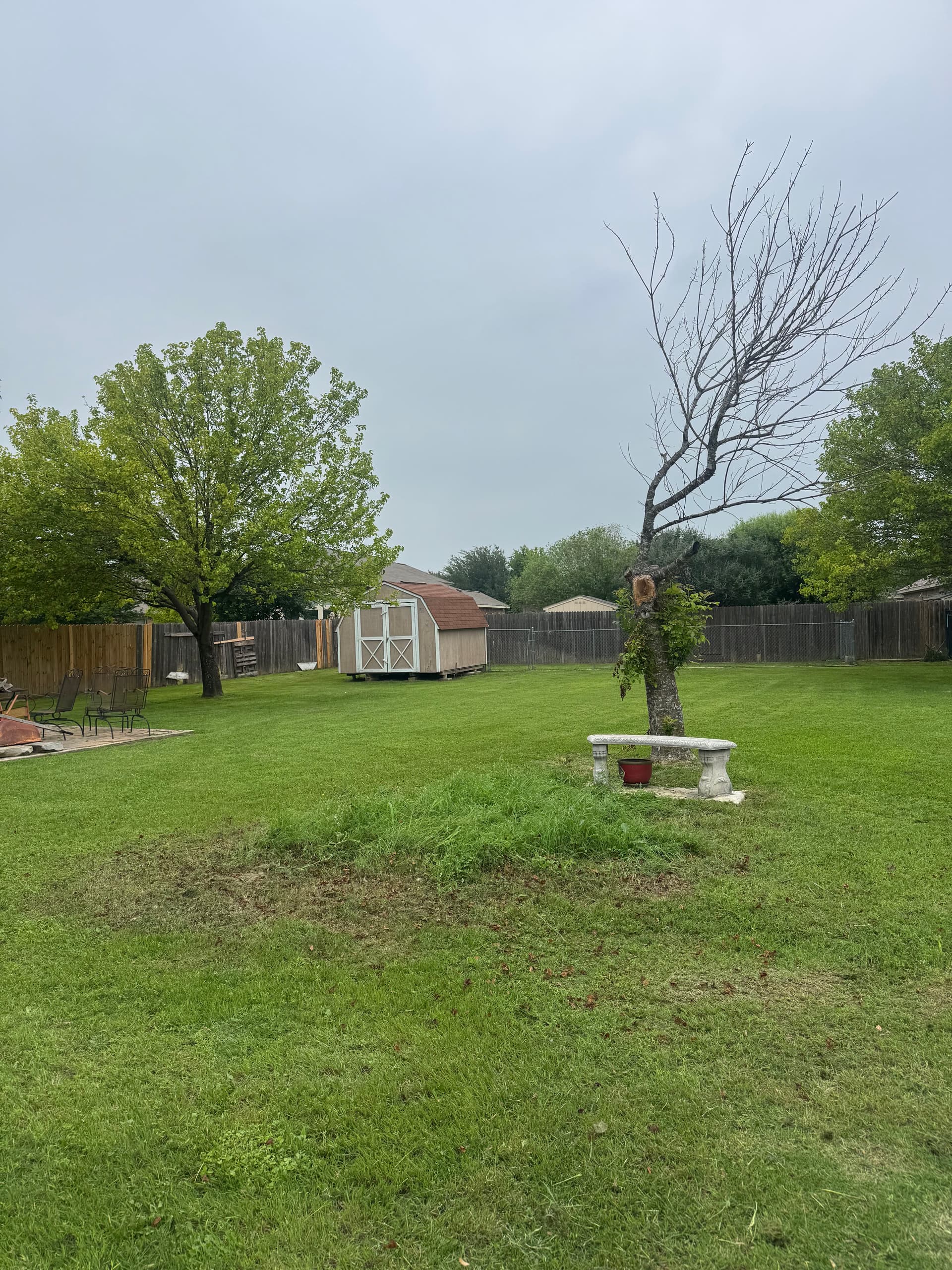 Gallery photos for Bed Refresh, Tree Trimming, and Fallen Branch Removal Done Right: Image #5