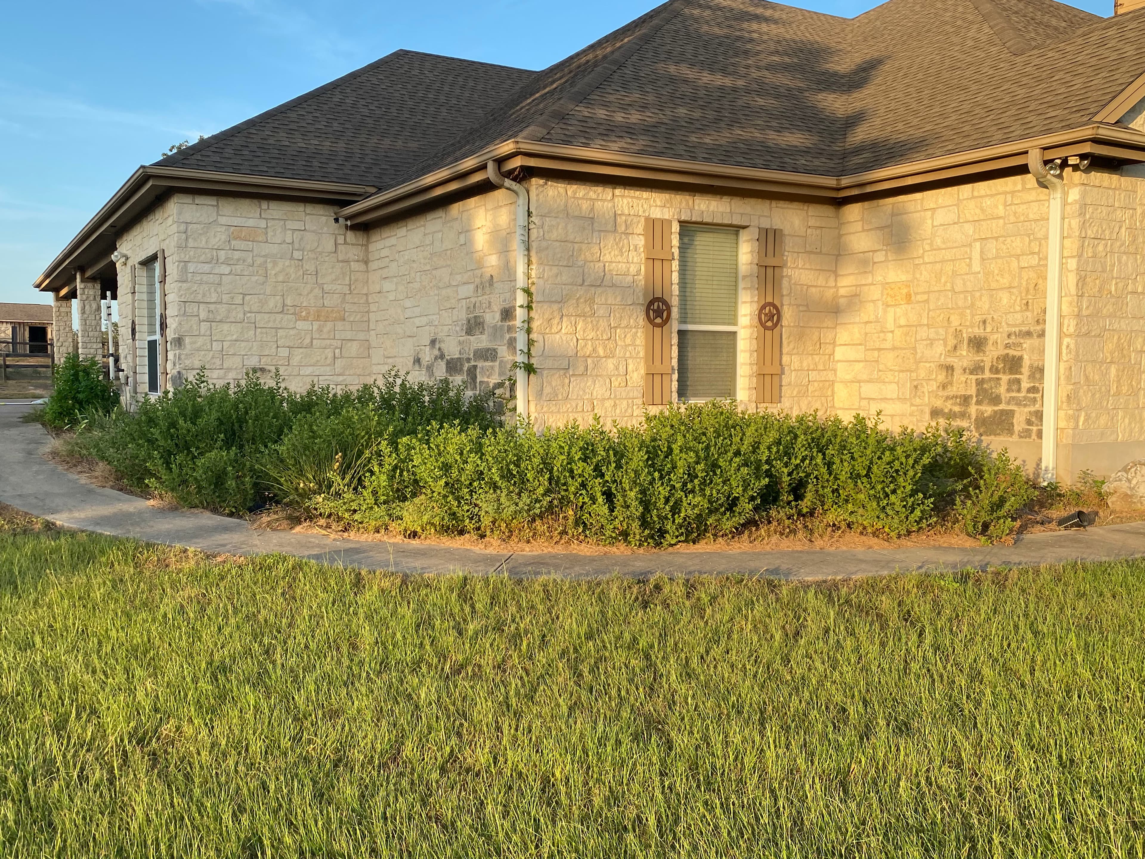 Project Overgrown Landscape Beds Turned Into Clean Xeriscape in One Day image