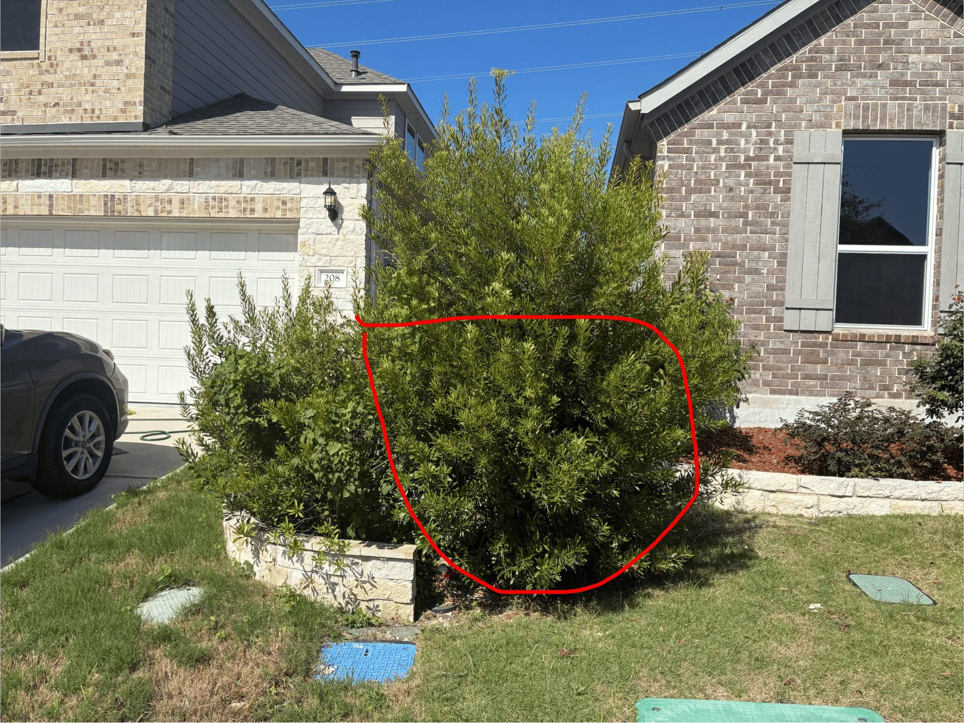 Front Yard Bush and Tree Trimming at a Recurring Property