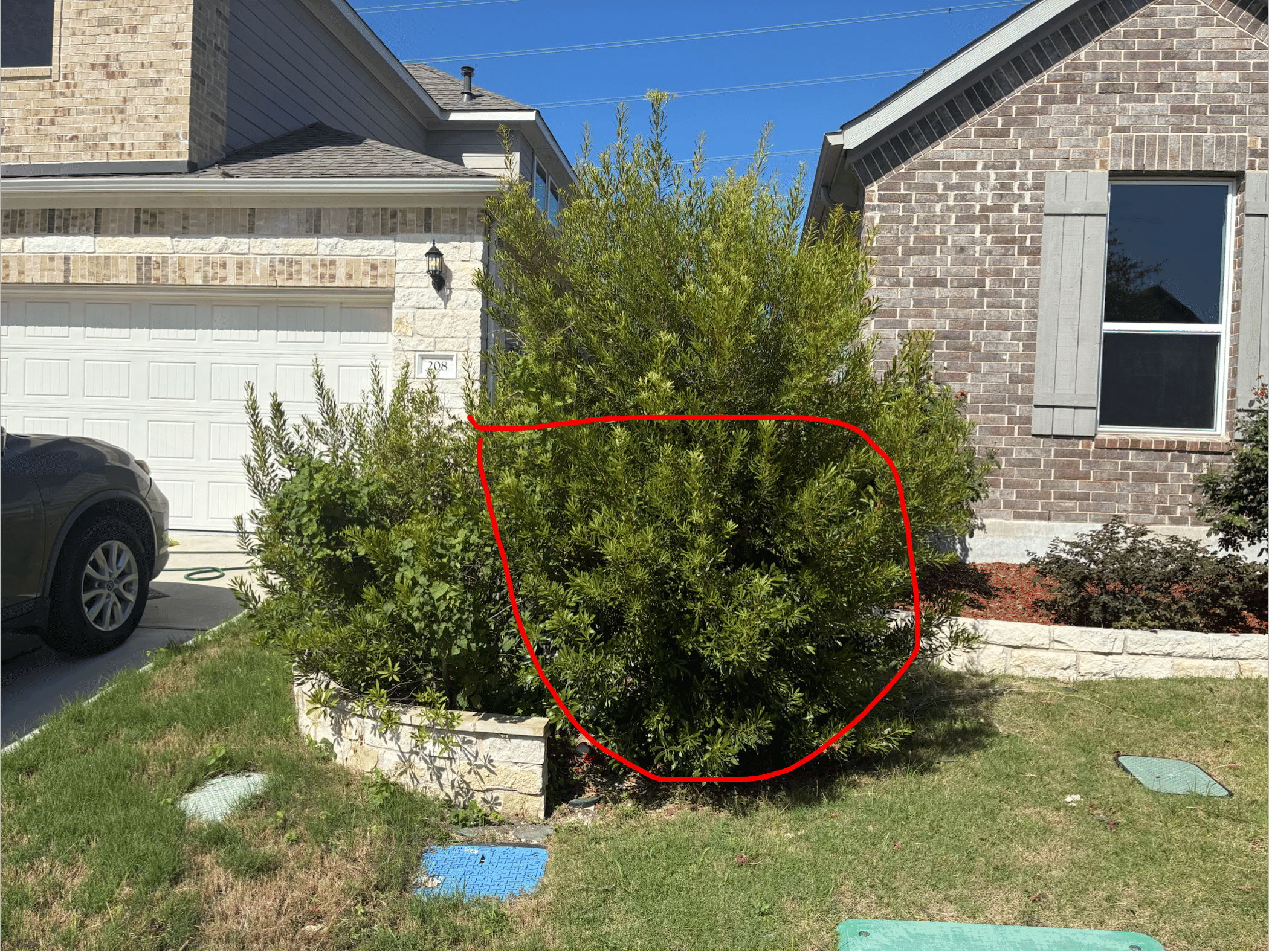 Project Front Yard Bush and Tree Trimming at a Recurring Property image