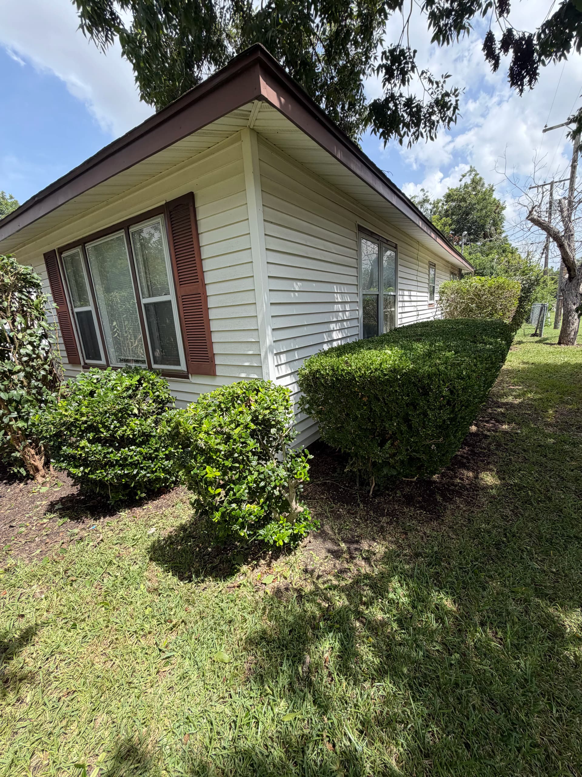 Gallery photos for Overgrown Shrubs Cut Back to Clean and Sharp: Image #5