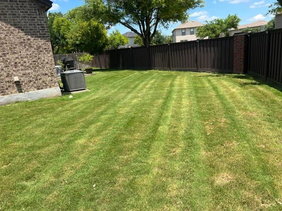 Lawn Care Magic Achieved by Tyson's Mow and More