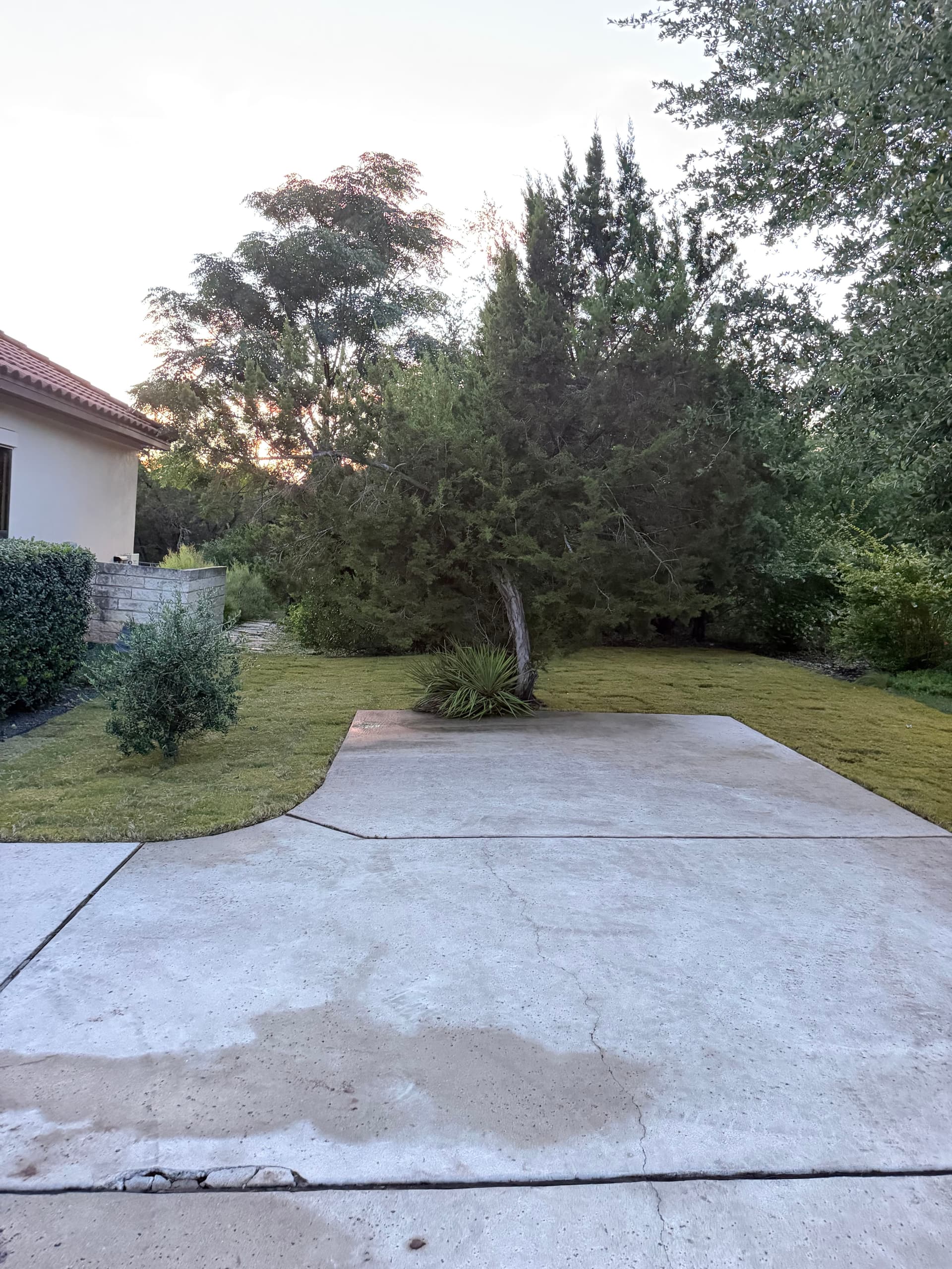 Gallery photos for Lakeway Lawn Gets a Full Sod Install From the Ground Up: Image #4