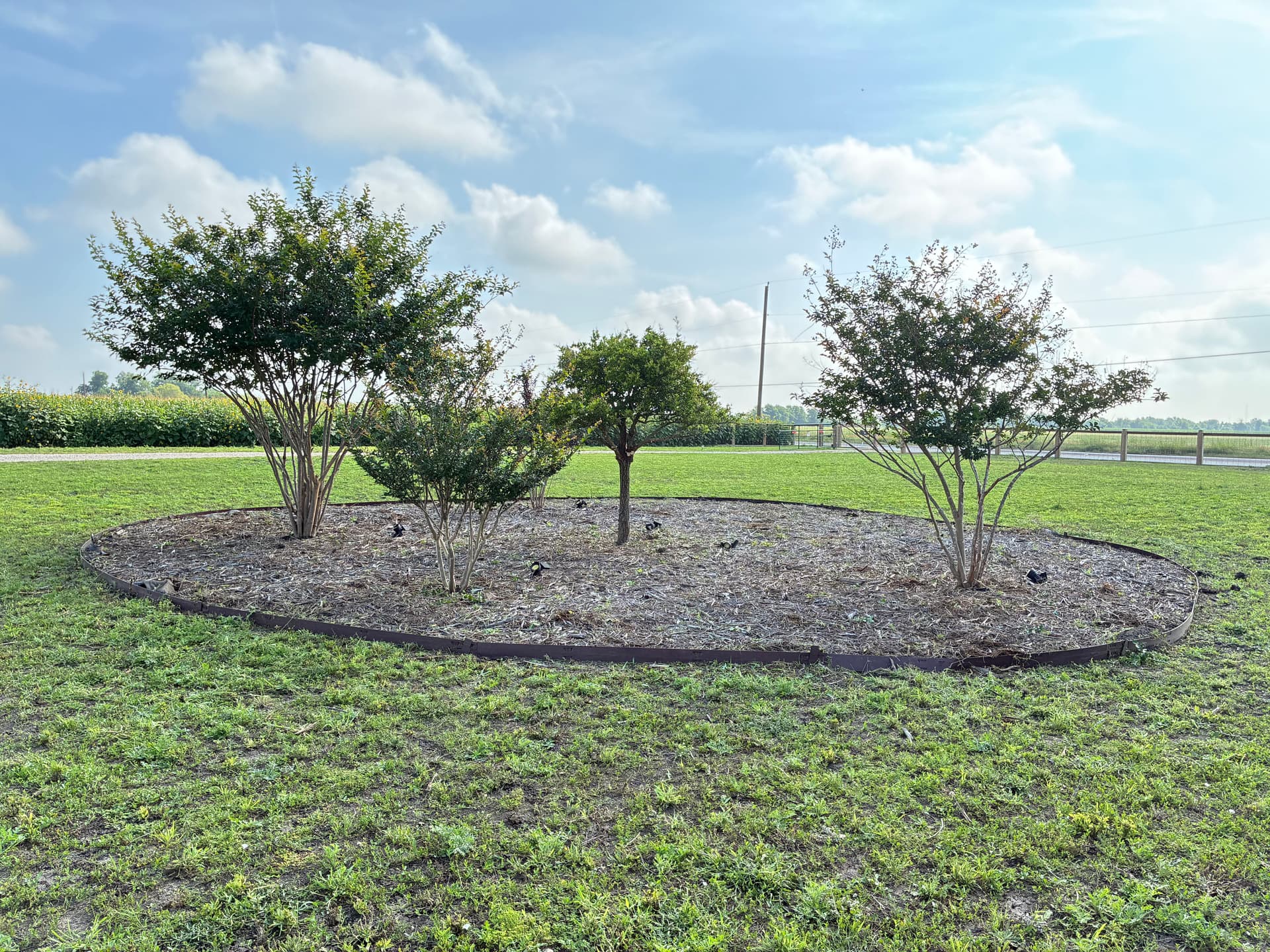 Tree Trimming, Weed Removal, and Fresh Mulch Beds Done Right