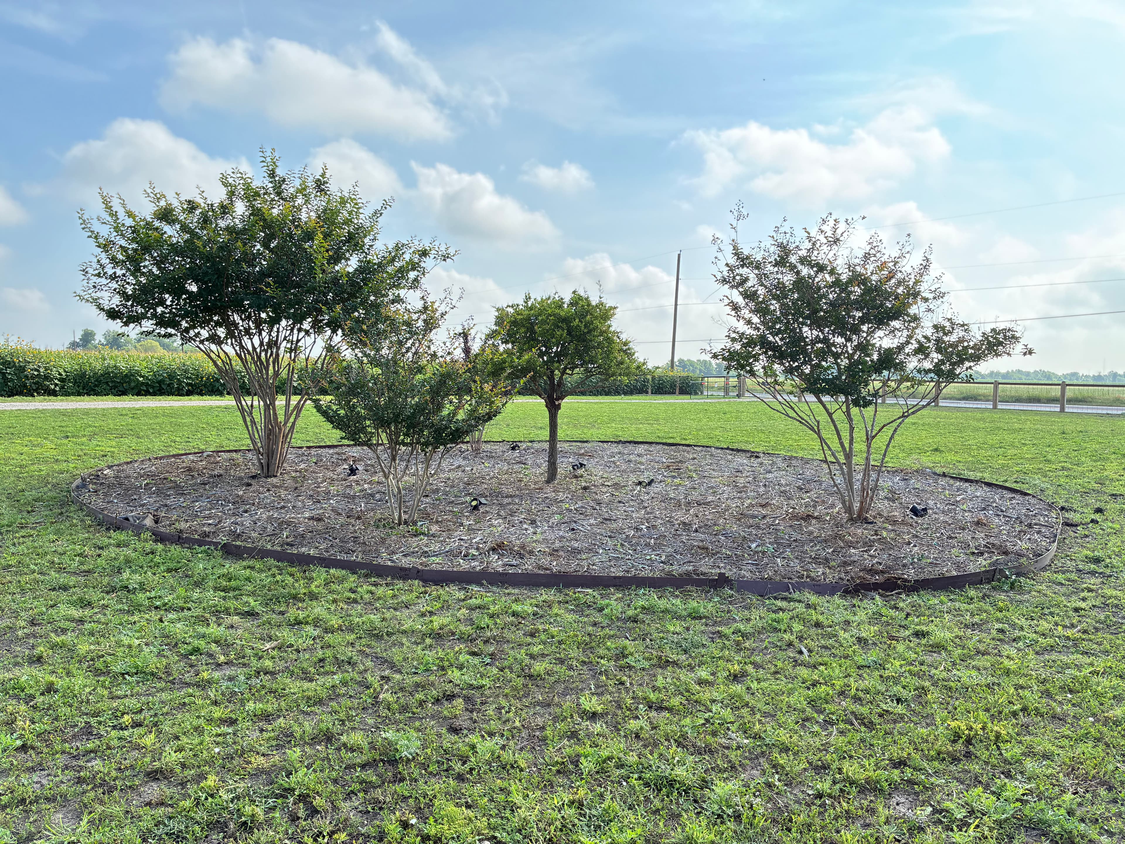 Project Tree Trimming, Weed Removal, and Fresh Mulch Beds Done Right image
