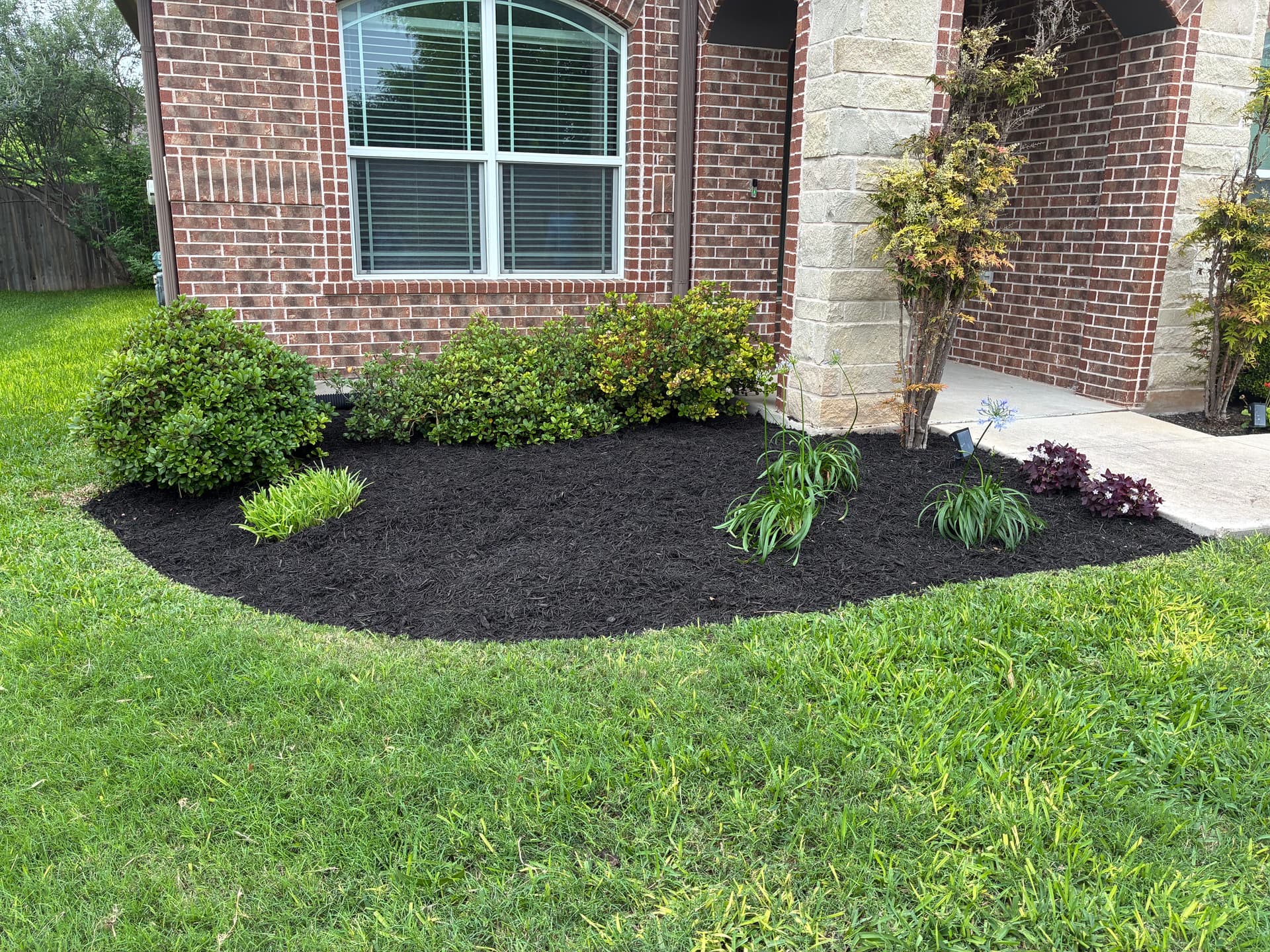 Gallery photos for Bed Refresh, Tree Trimming, and Fallen Branch Removal Done Right: Image #1