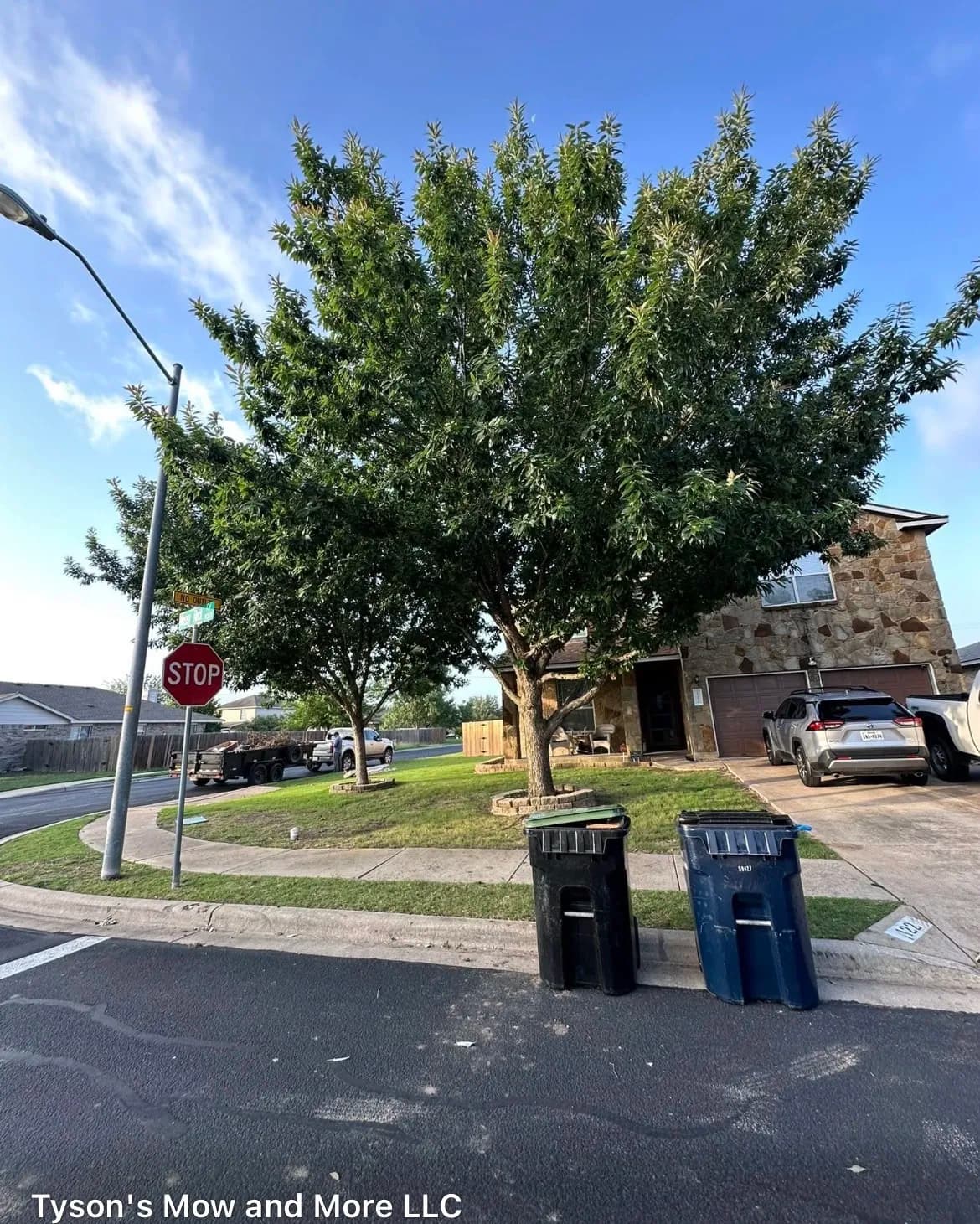 Gallery photos for Tree Trimming That Makes a Real Difference at the Curb: Image #4