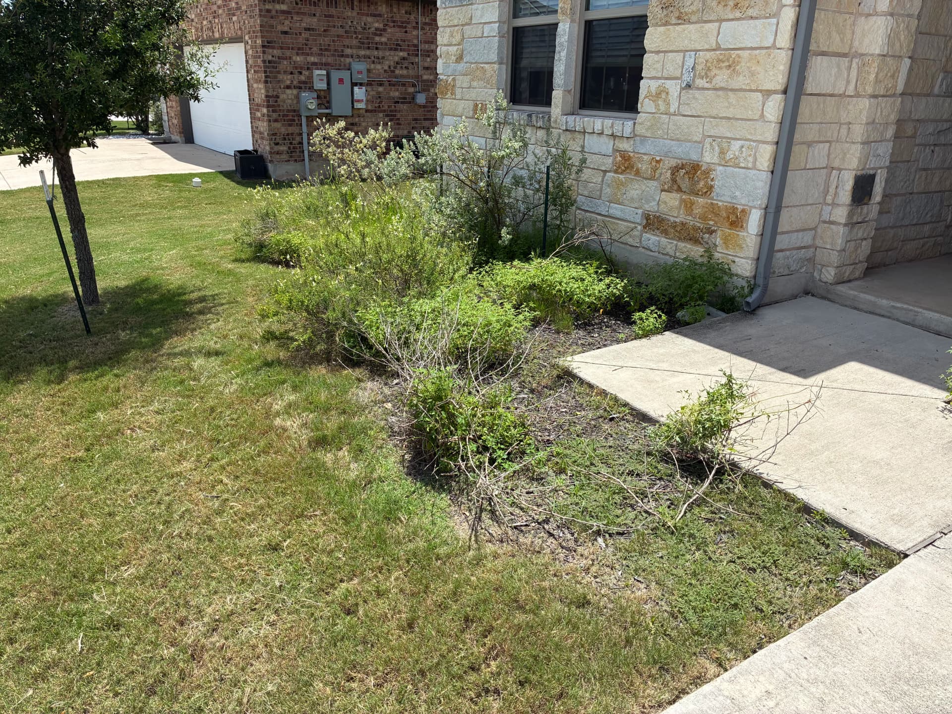 Front Yard Landscape Bed Cleanup with Fresh Mulch and Limestone Border image