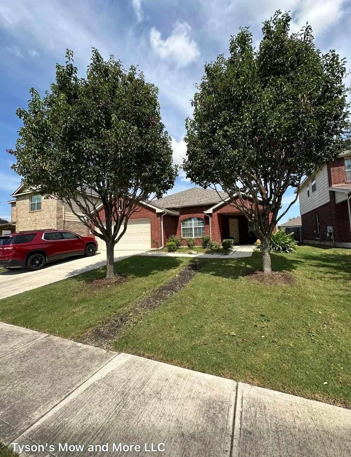 Gallery photos for Tree Trimming That Makes a Real Difference at the Curb: Image #1