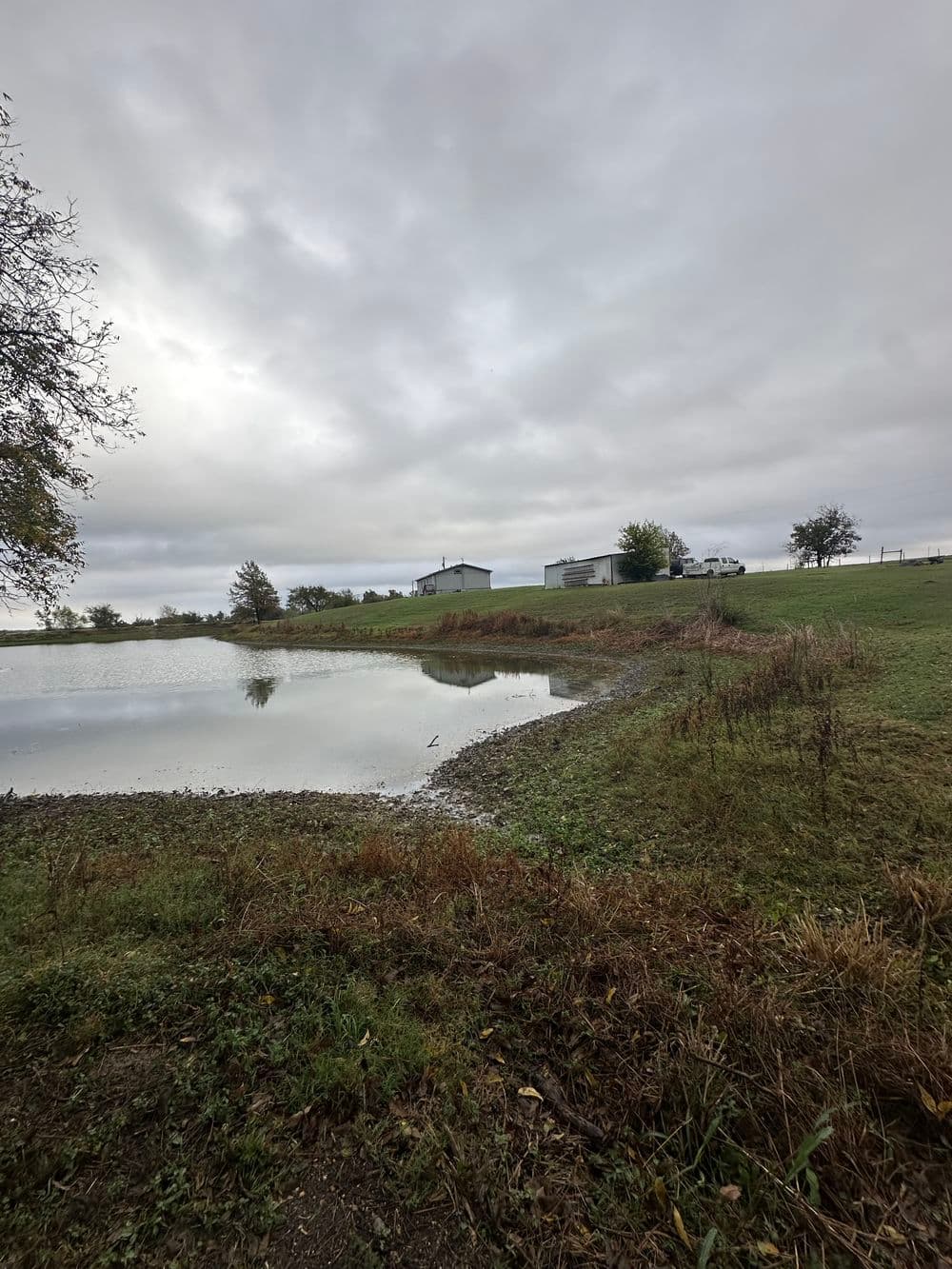 Gallery photos for Pondside Transformation Through Effective Weed and Grass Cleanup in Taylor, TX: Image #6