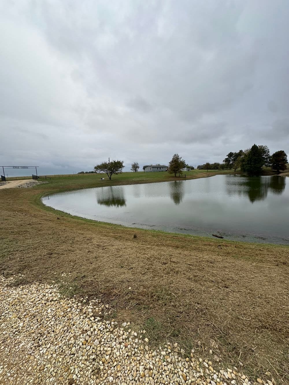 Project Pondside Transformation Through Effective Weed and Grass Cleanup in Taylor, TX image