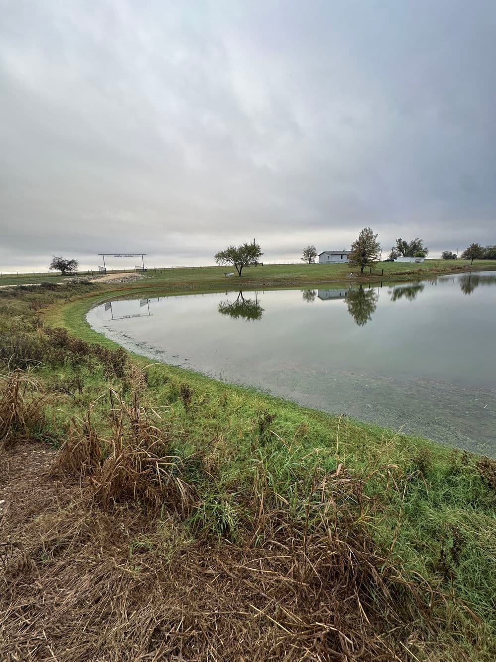 Gallery photos for Pondside Transformation Through Effective Weed and Grass Cleanup in Taylor, TX: Image #1