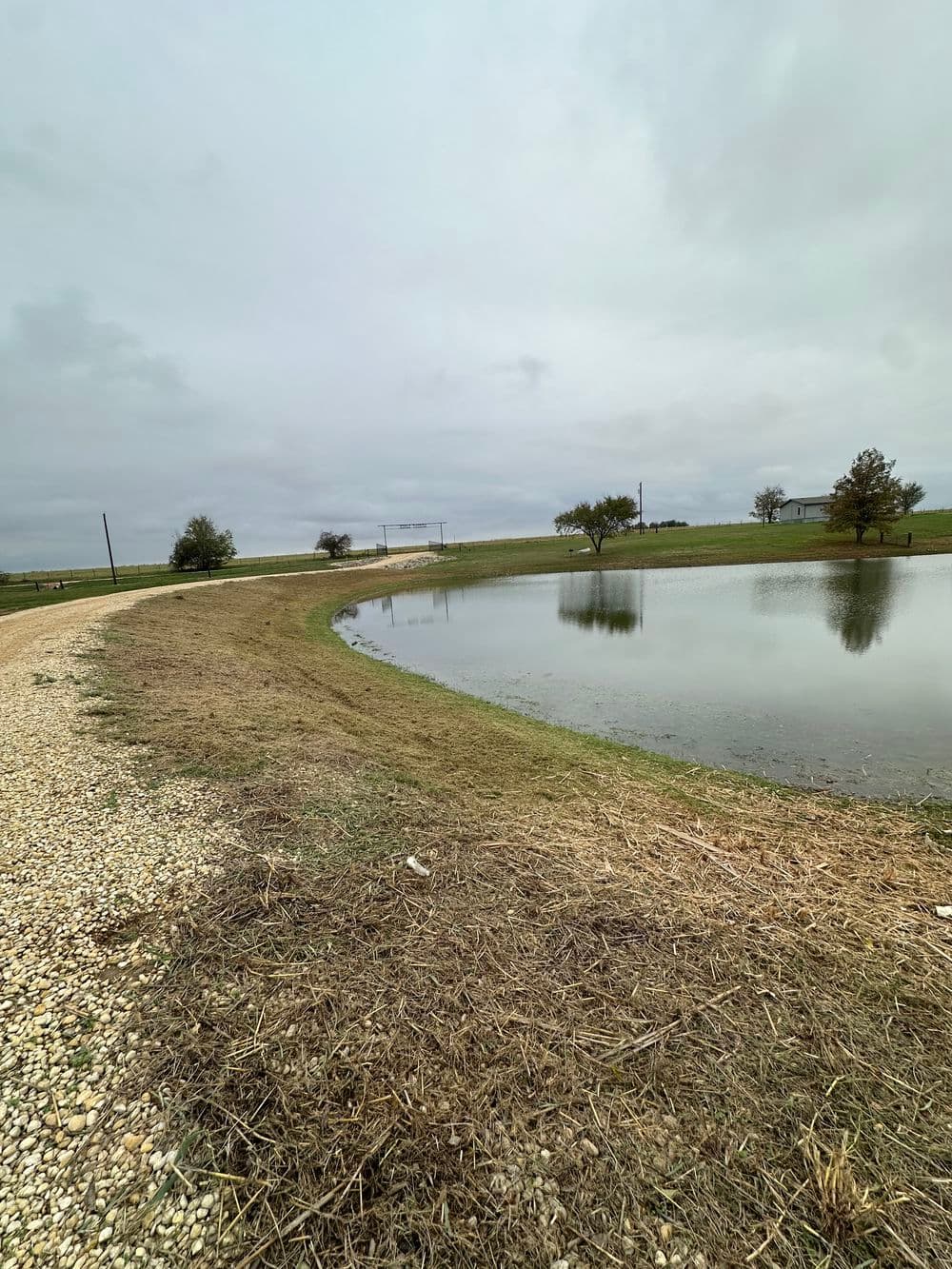 Gallery photos for Pondside Transformation Through Effective Weed and Grass Cleanup in Taylor, TX: Image #3