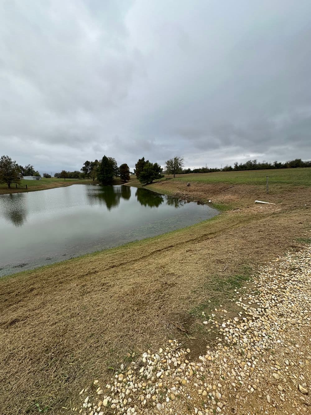 Gallery photos for Pondside Transformation Through Effective Weed and Grass Cleanup in Taylor, TX: Image #7