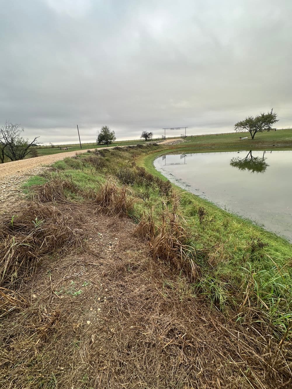 Gallery photos for Pondside Transformation Through Effective Weed and Grass Cleanup in Taylor, TX: Image #2