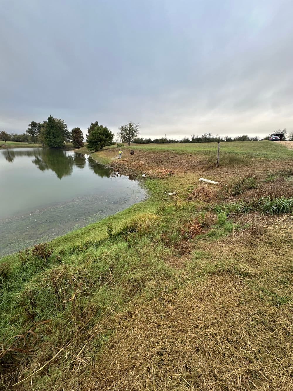 Gallery photos for Pondside Transformation Through Effective Weed and Grass Cleanup in Taylor, TX: Image #4