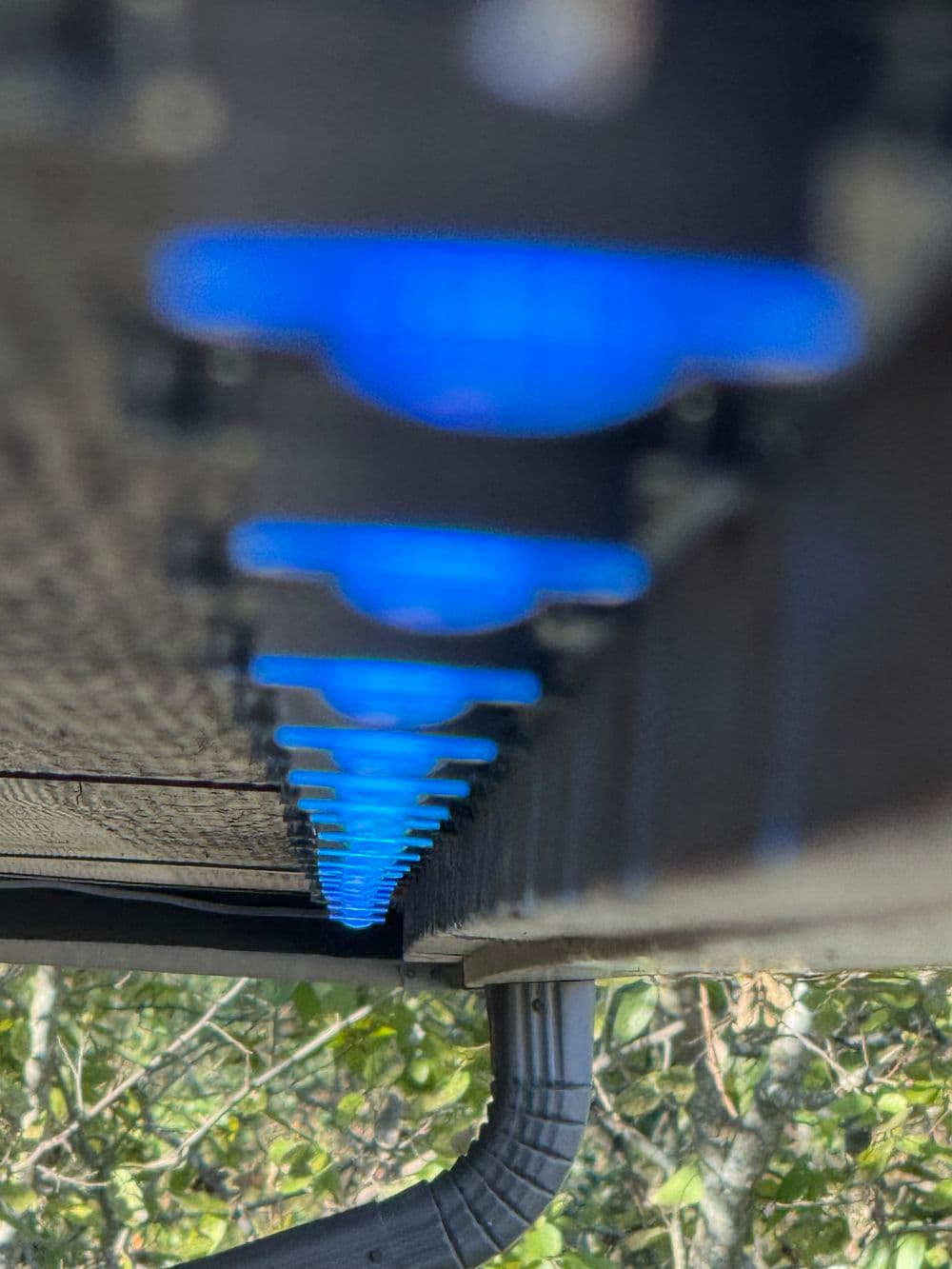 Project Year-Round Permanent Lighting Installation image