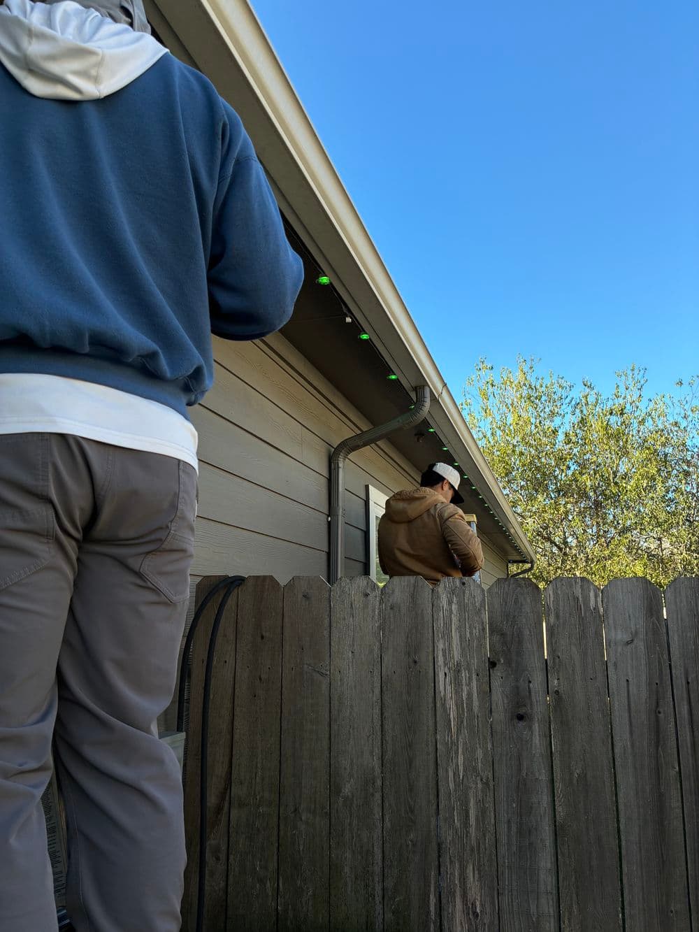 Year-Round Permanent Lighting Installation