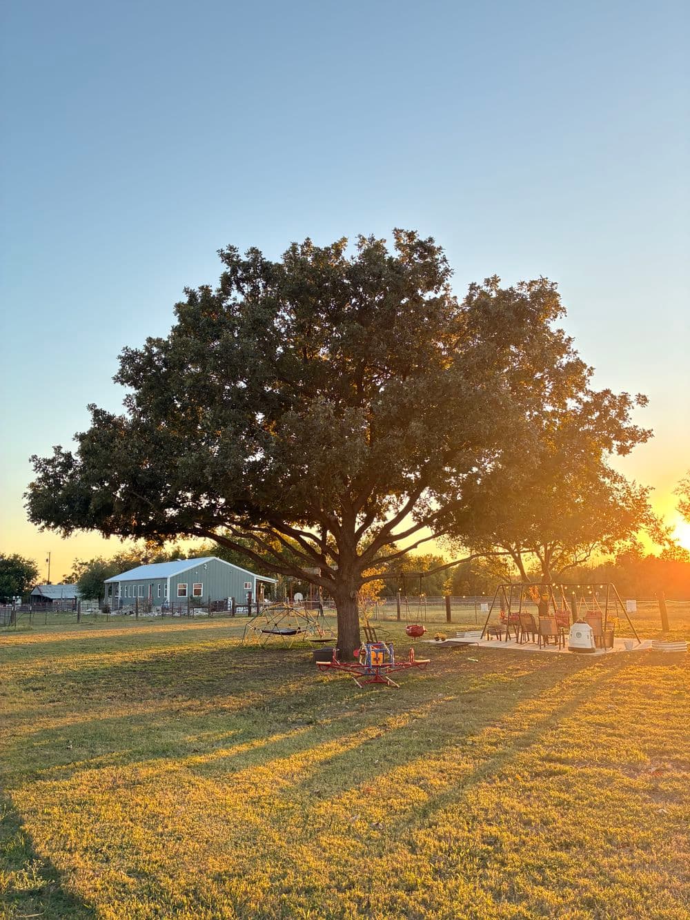 Project Tree Trimming Success in Taylor TX image