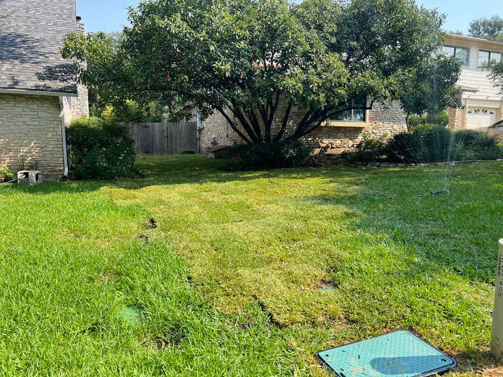 Project Side Yard Transformation with St. Augustine Sod in Taylor TX image