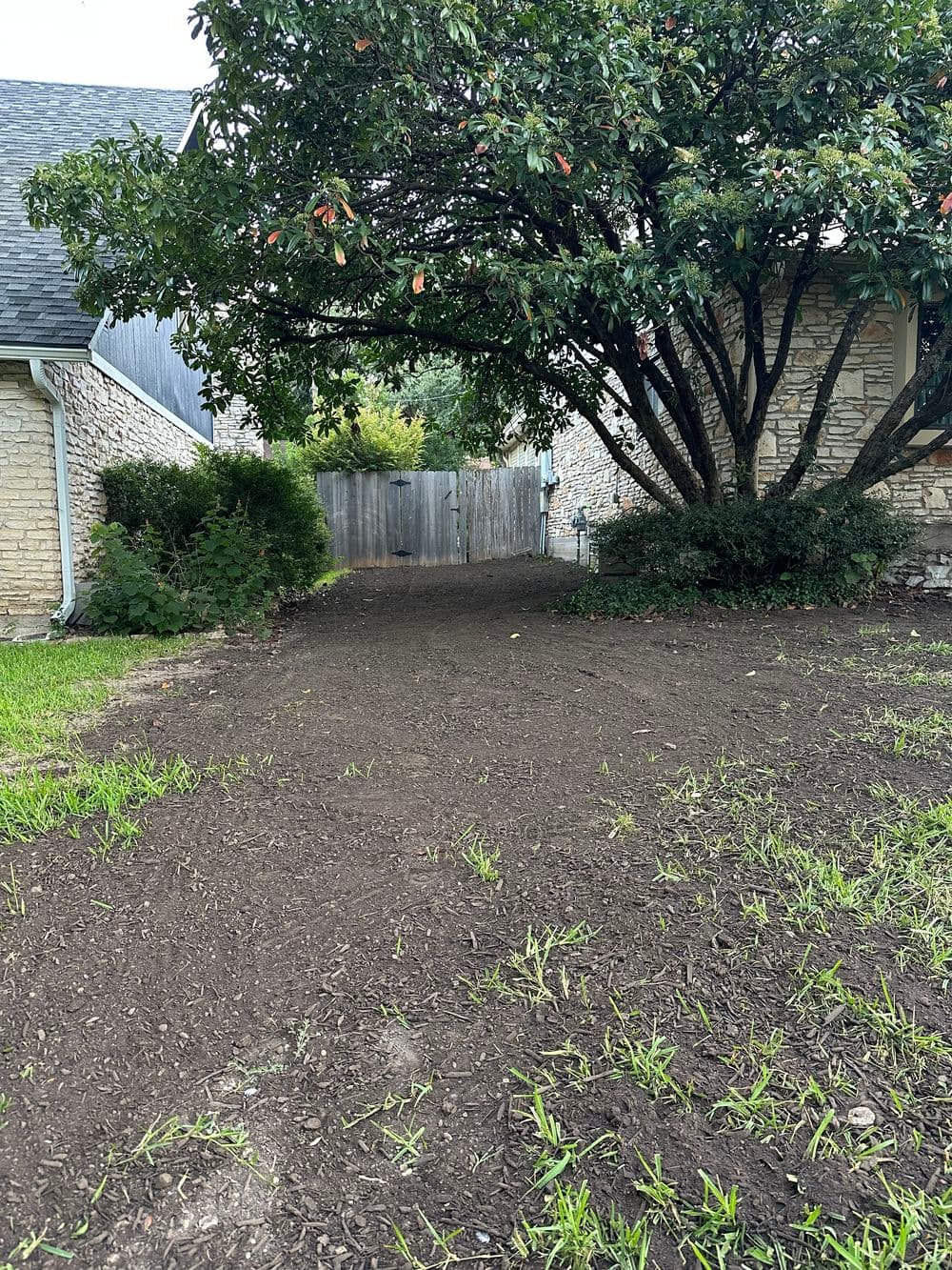 Side Yard Transformation with St. Augustine Sod in Taylor TX