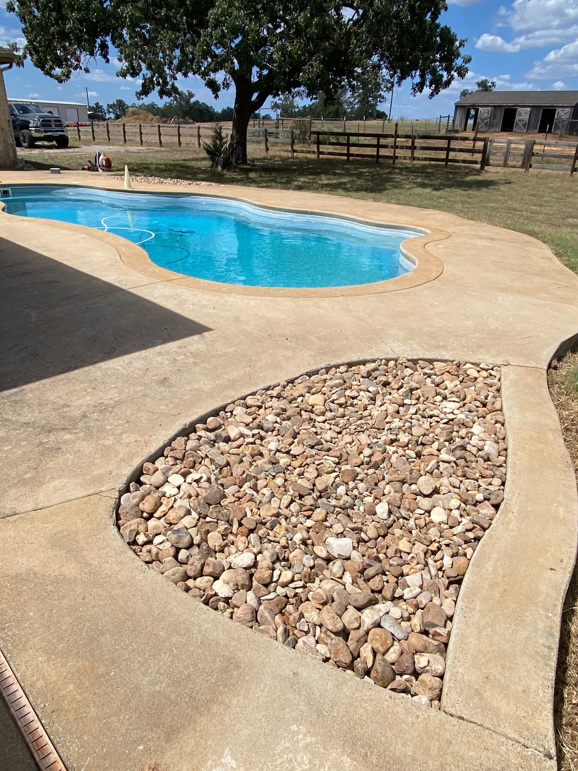 Gallery photos for Overgrown Landscape Beds Turned Into Clean Xeriscape in One Day: Image #5