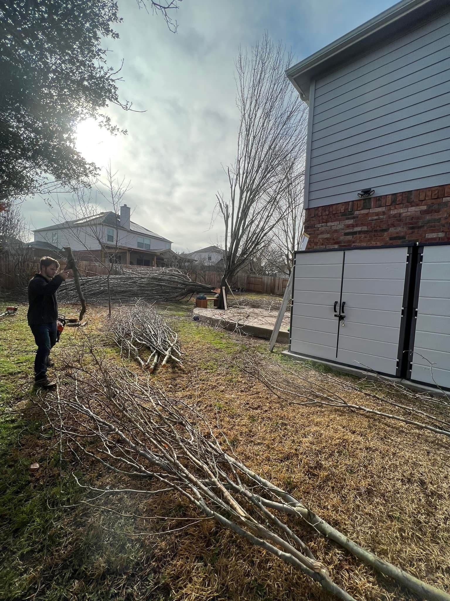 Gallery photos for Storm Cleanup and Tree Trimming Done Right: Image #8