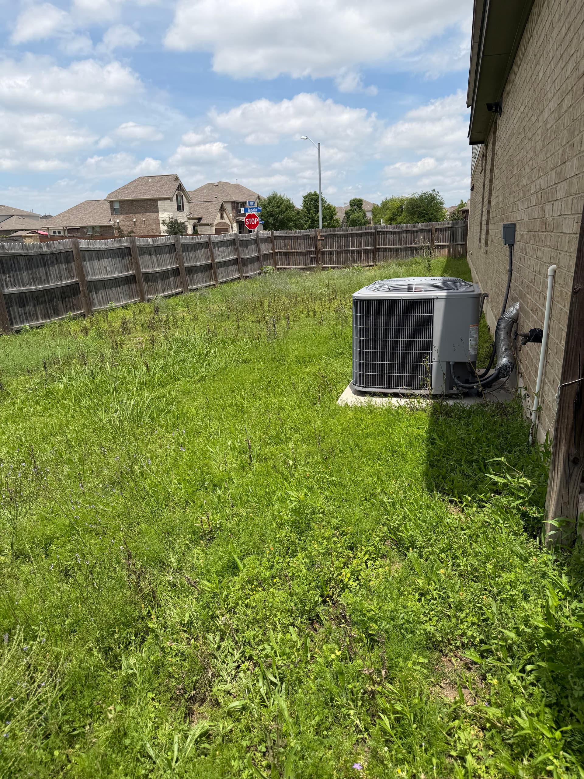 Gallery photos for Don't Let the Rain Get Ahead of Your Yard This Week: Image #5