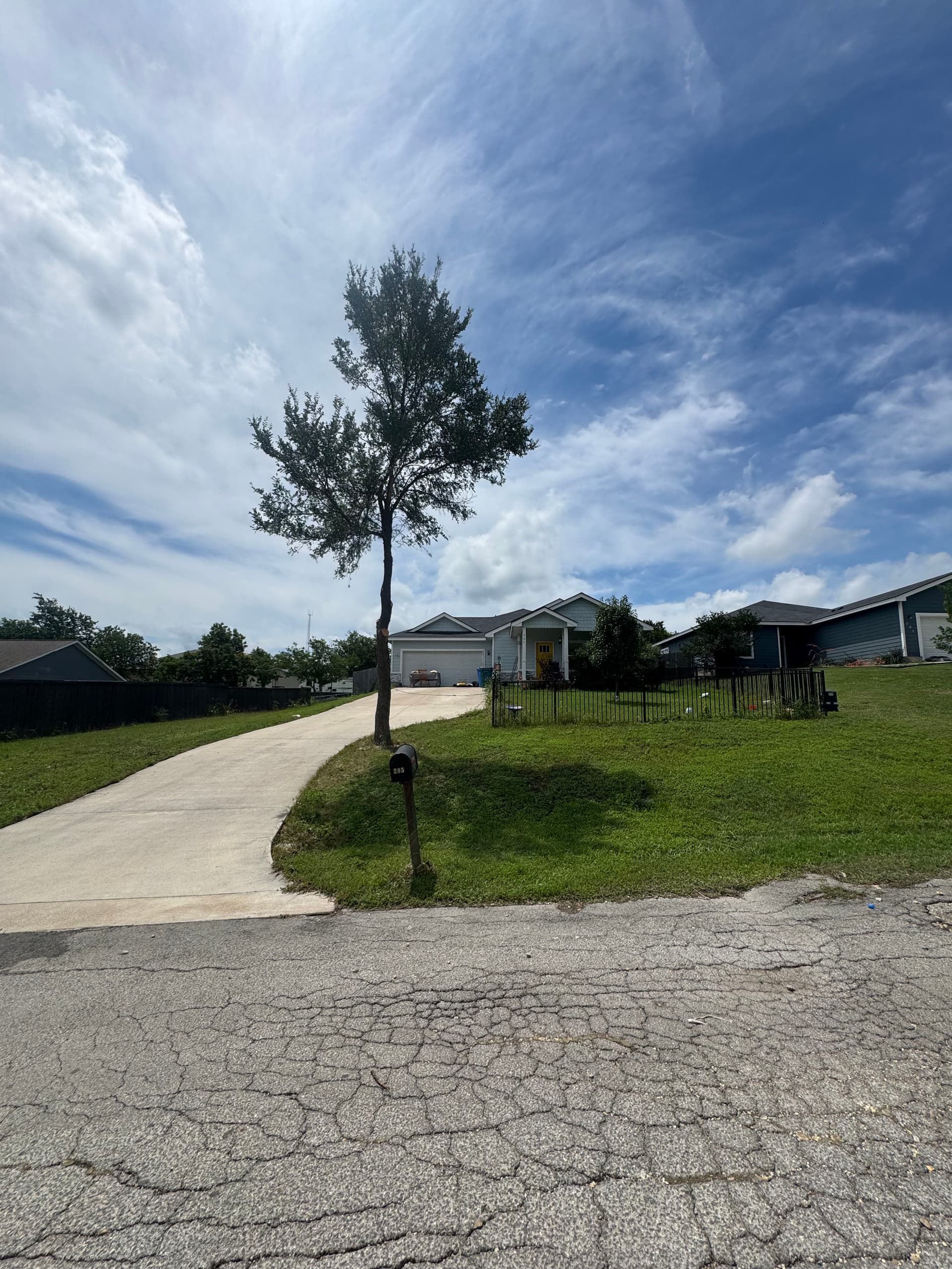 Storm Cleanup and Tree Trimming Done Right image