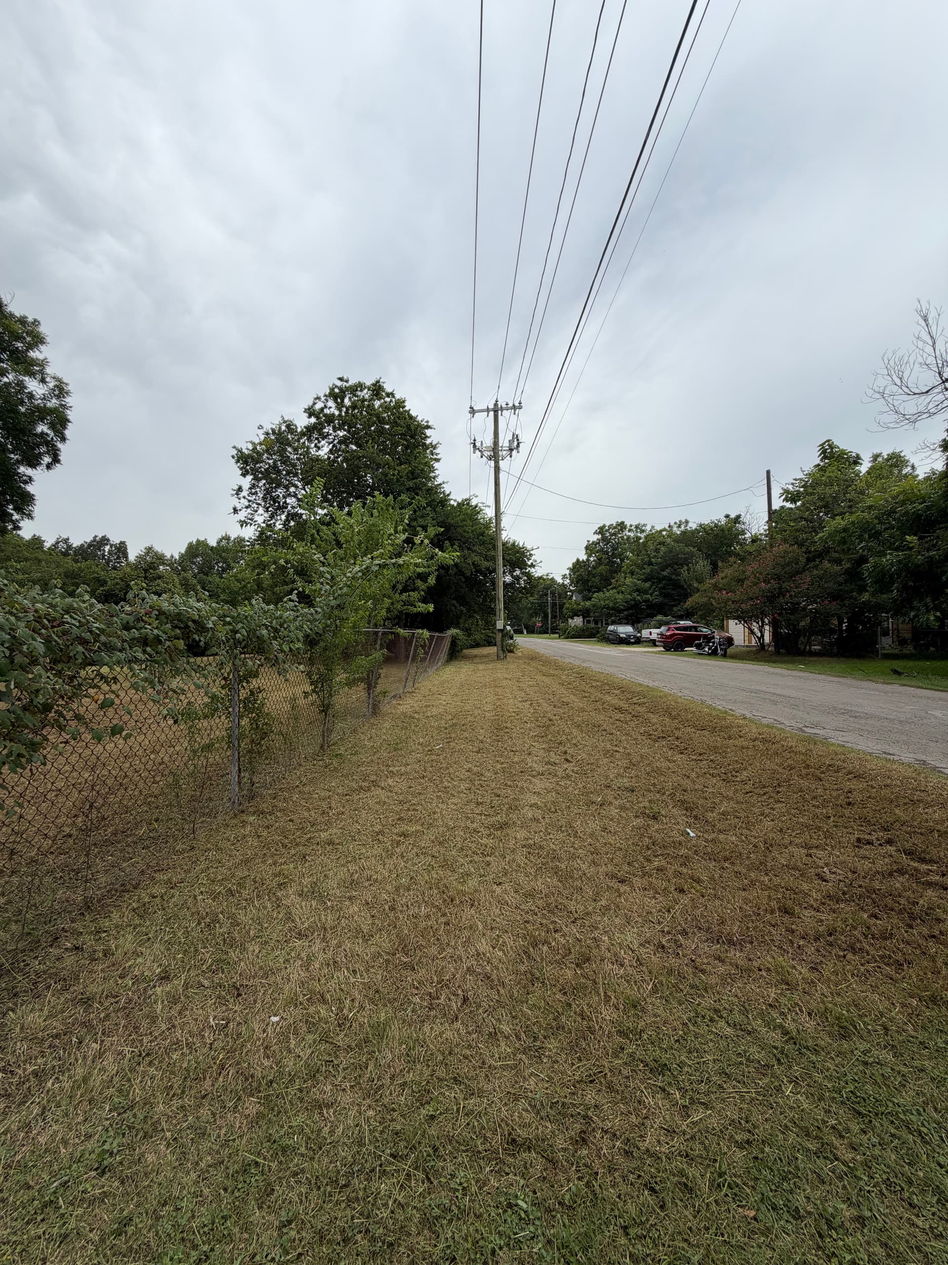 Gallery photos for Overgrown Lot Mowed Down and Cleaned Up: Image #3
