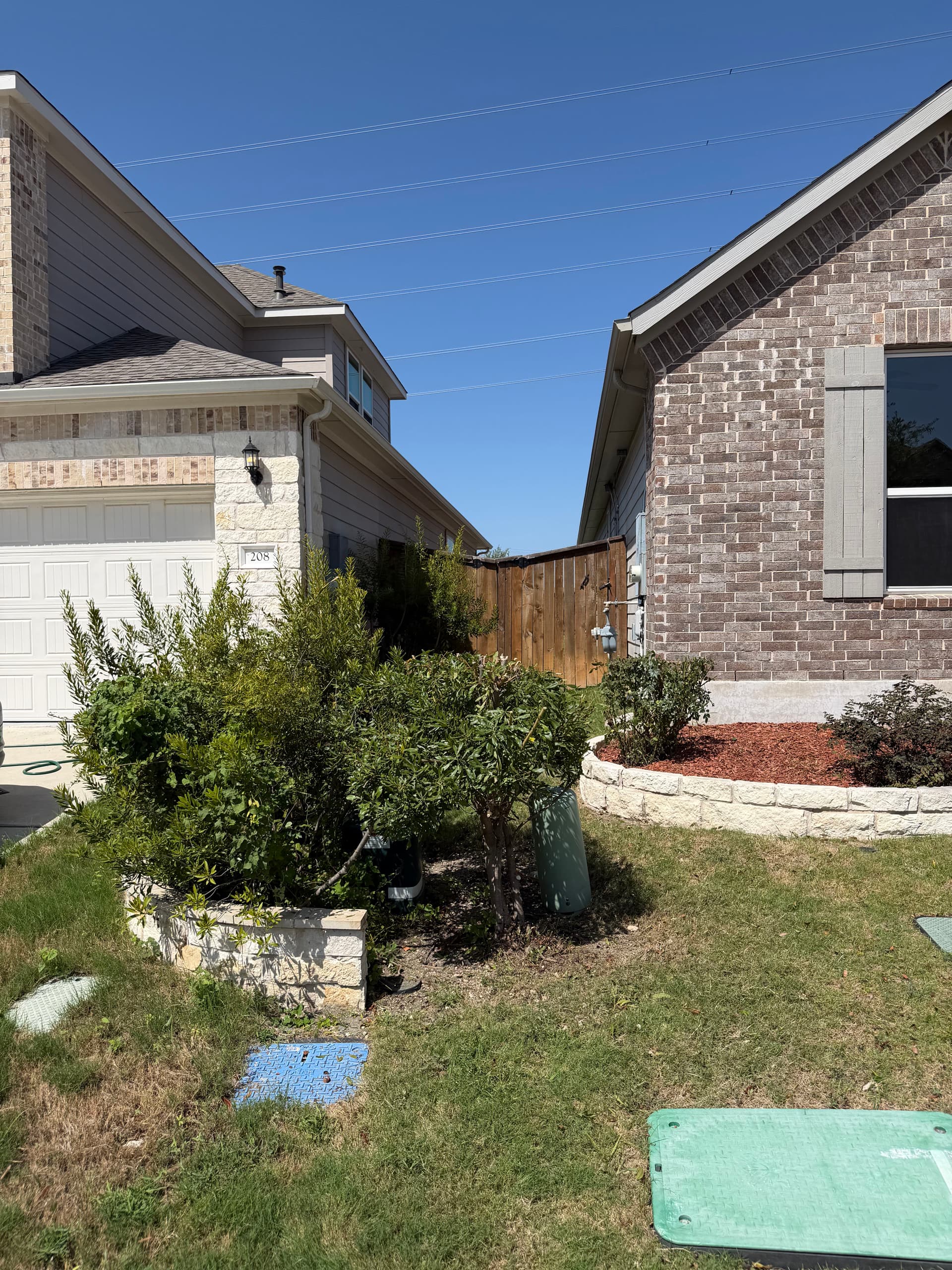 Gallery photos for Front Yard Bush and Tree Trimming at a Recurring Property: Image #1