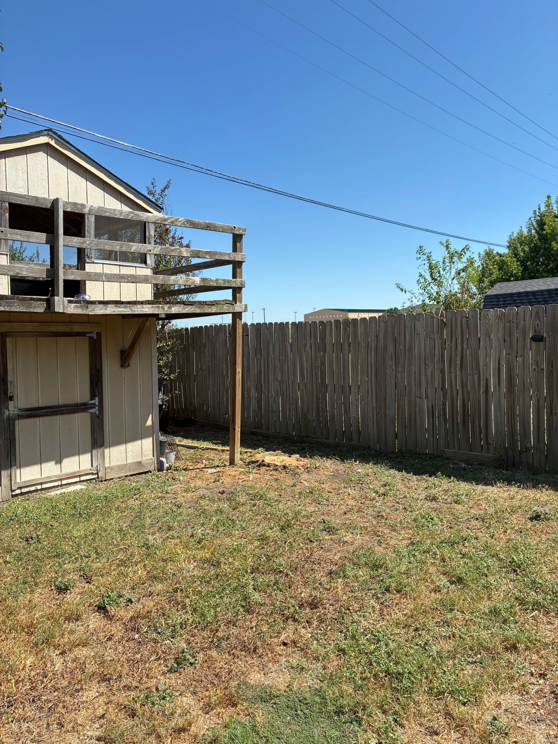 Gallery photos for 2 Dead Trees Down and the Yard Cleaned Up: Image #3