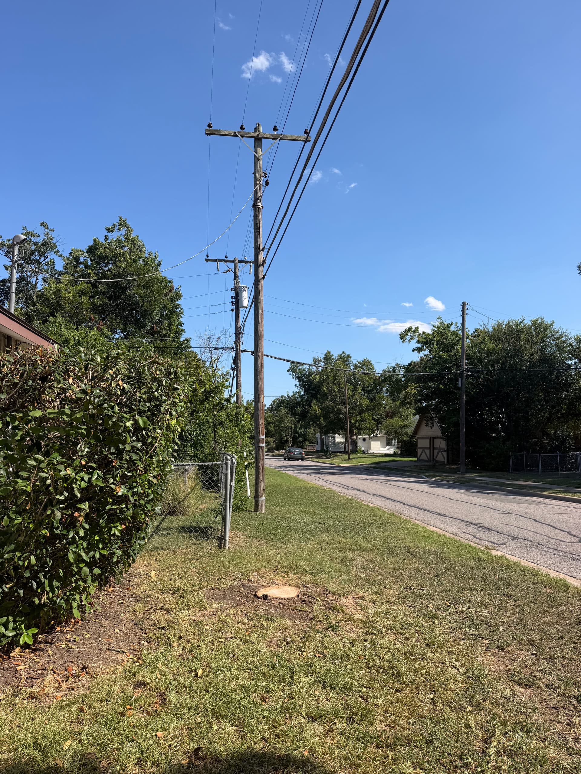 Gallery photos for Tree Removal and Pecan Tree Cleanup Done Right: Image #1