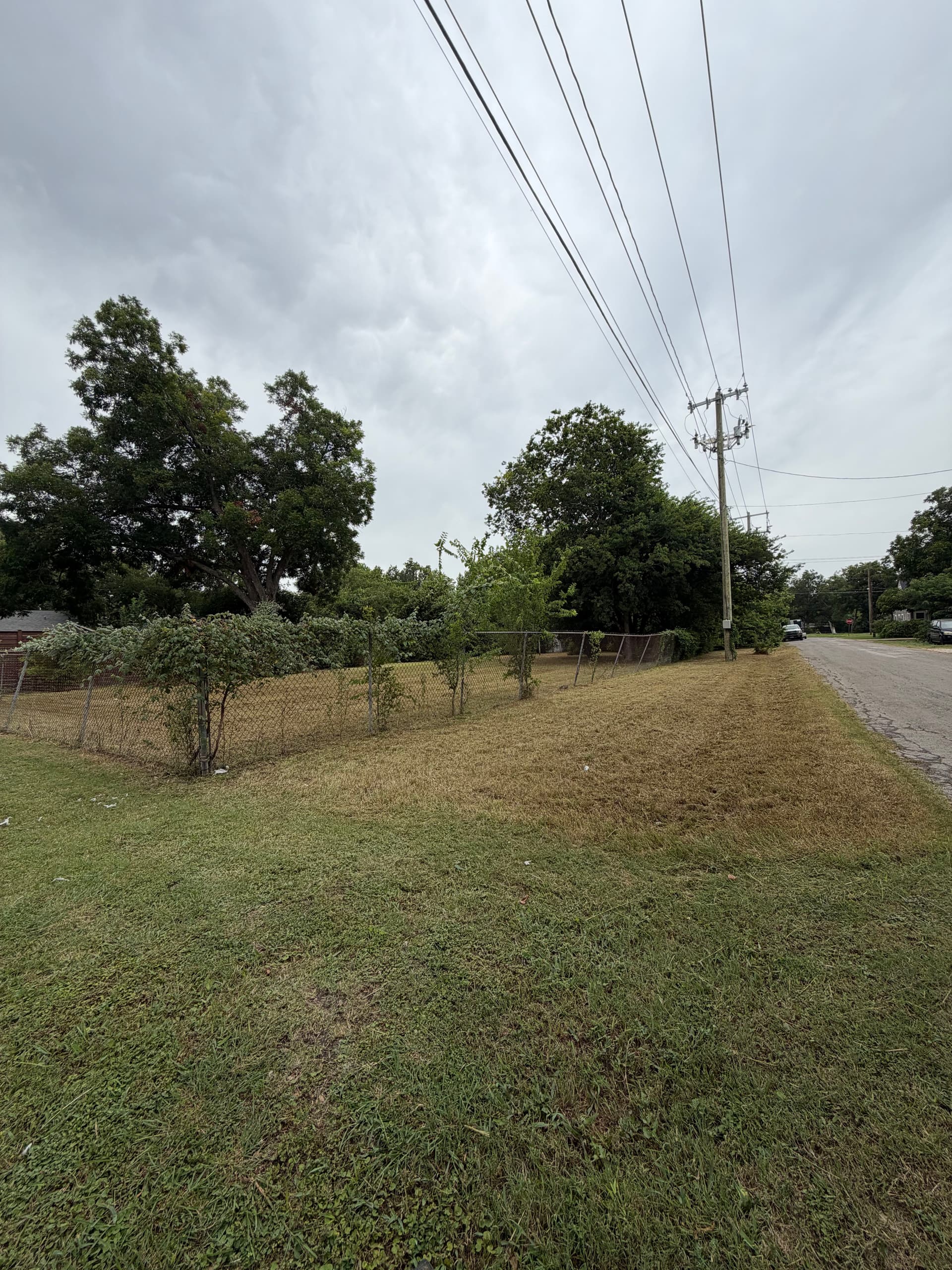 Gallery photos for Overgrown Lot Mowed Down and Cleaned Up: Image #1