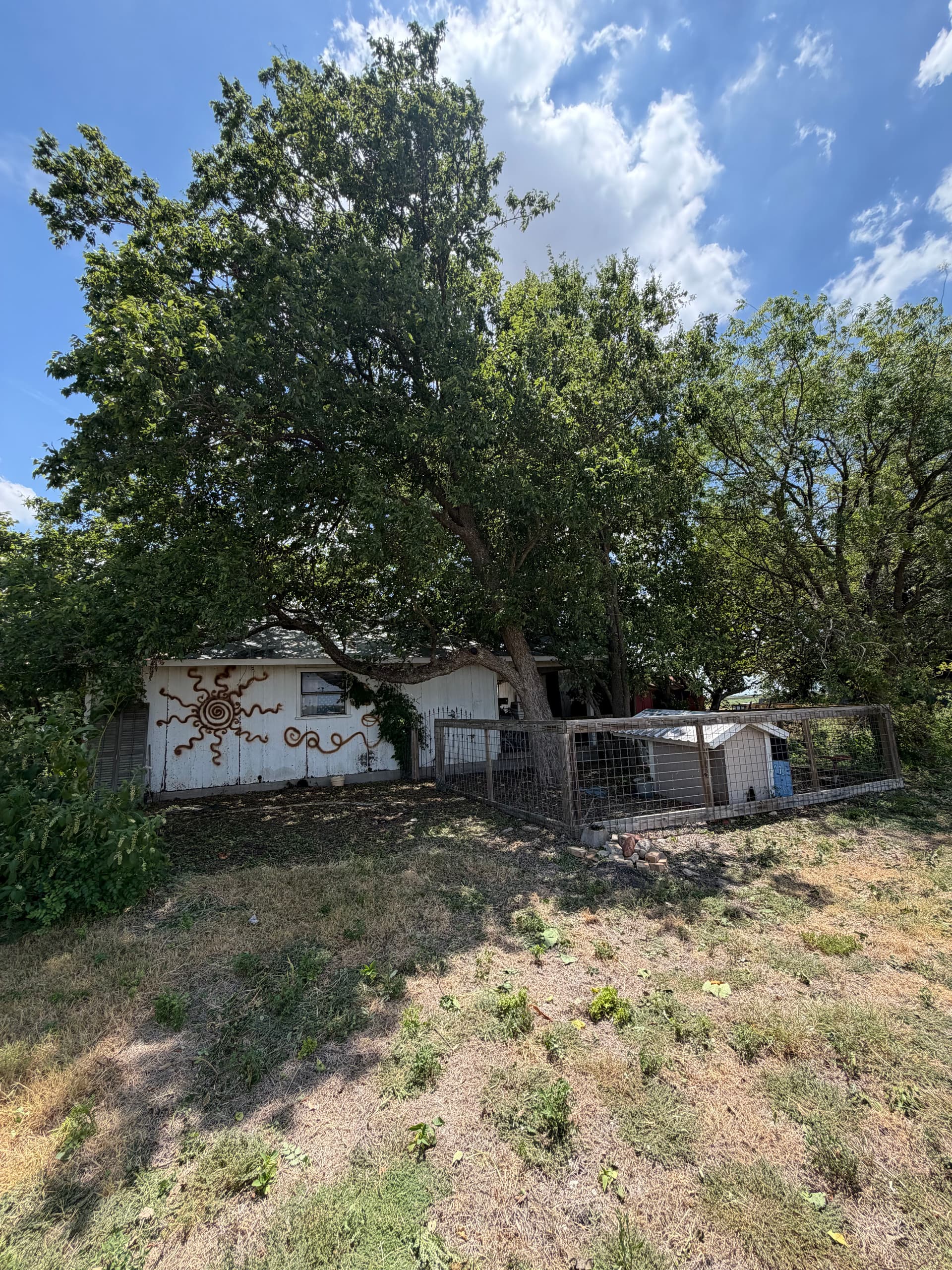 Gallery photos for Brush Cleanup and Tree Trimming That Actually Makes a Difference: Image #1